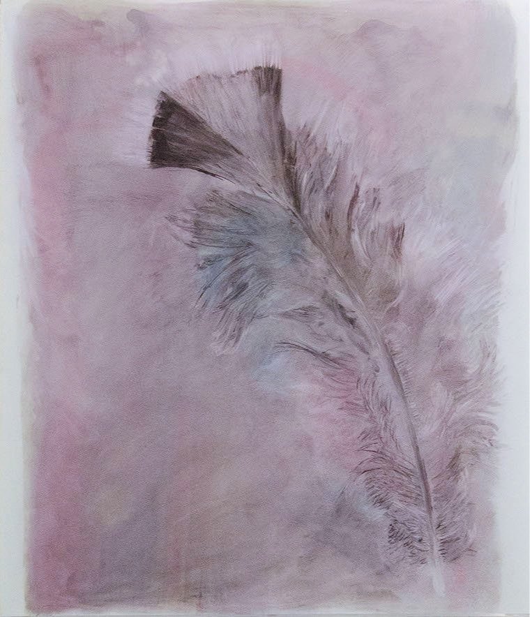 'Fuchsia Feather,' charcoal with ink 17 in x 14 in on duralar sheets