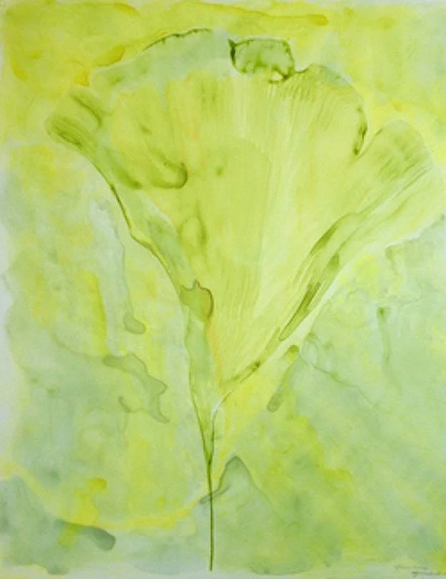 'Bright Ginkgo,' ink on duralar sheets 17 in x 14 in