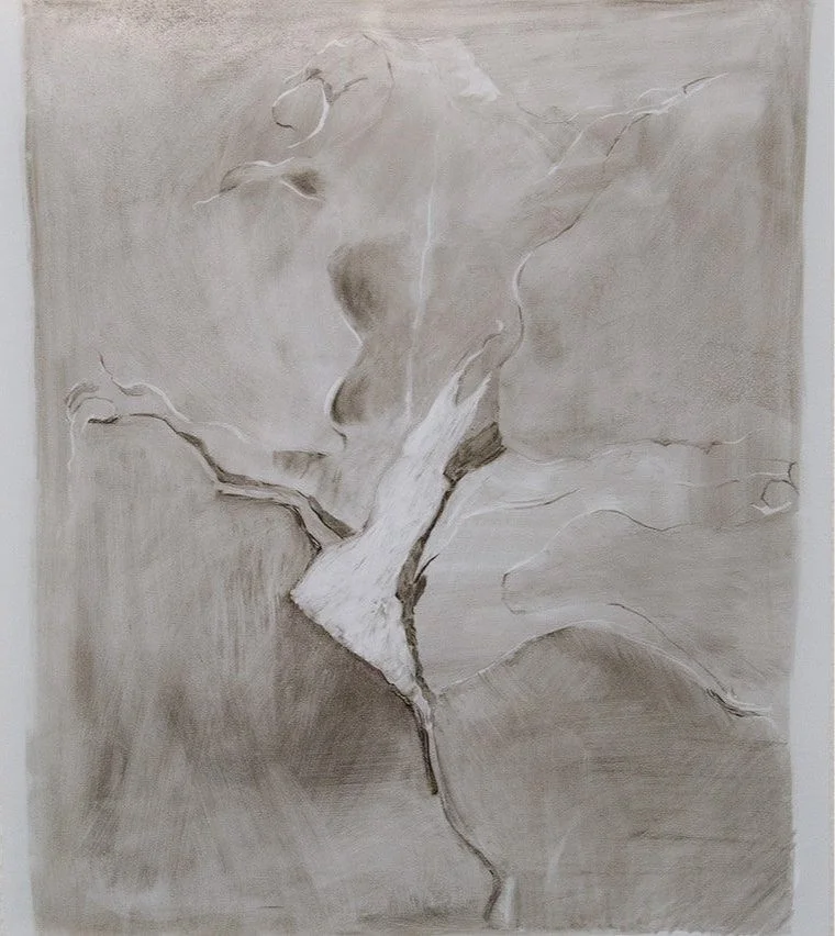 'Dancing Leaf,' charcoal  17 in x 14 in on duralar sheets
