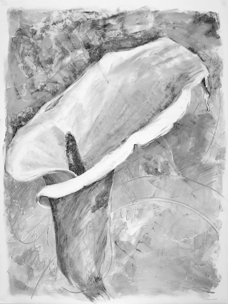 'Callah Lily Profile,' 40 in x 30 in charcoal on duralar