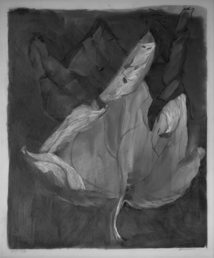 'Dual Leaf,'  17 in x 14 in charcoal on duralar 