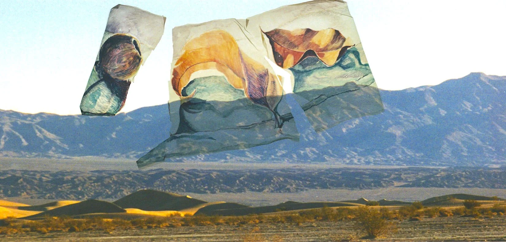 polaroid emulsion lift on photograph