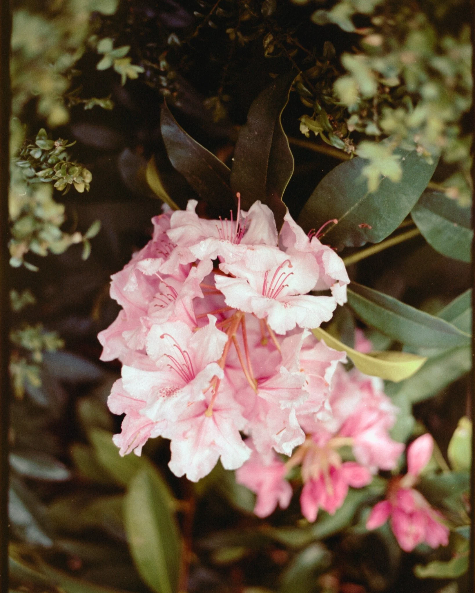 Image 1 24 32 44.jpg