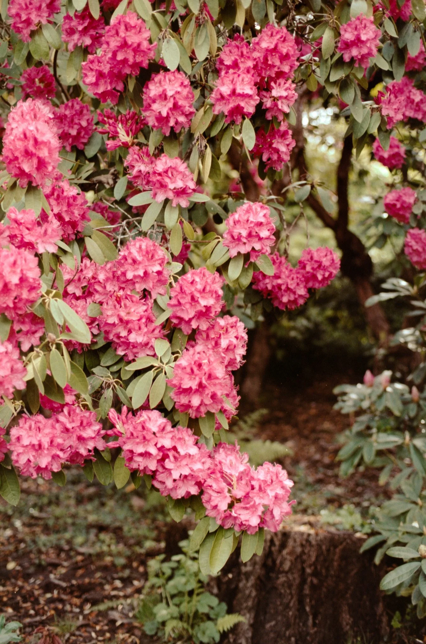 Image 1 24 32 45.jpg