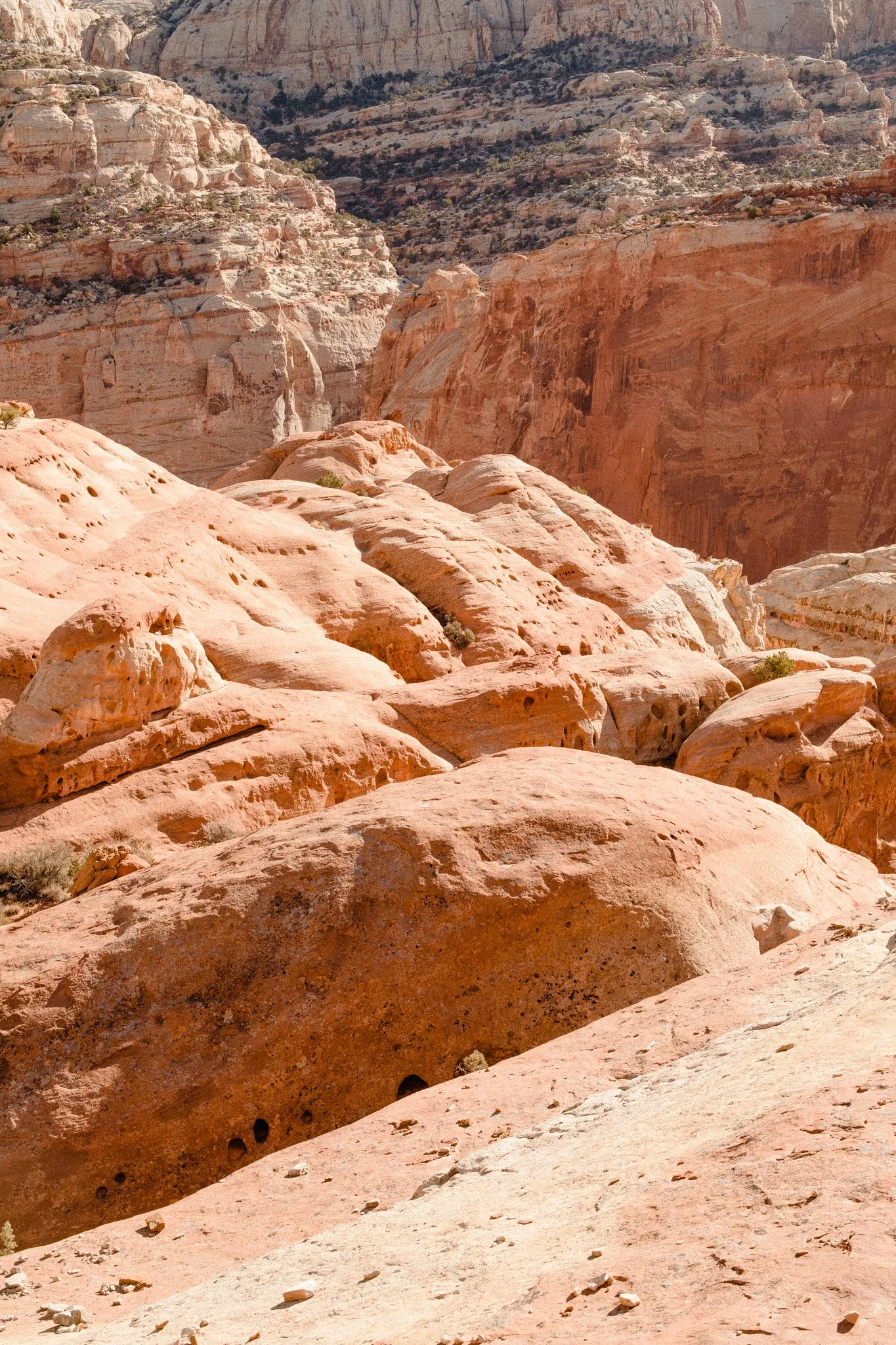 Utah116-620.jpg