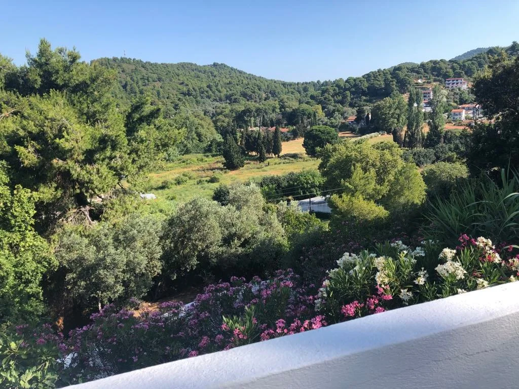 view.jpg