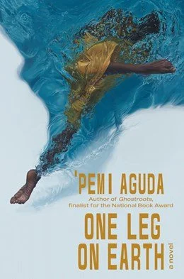 'One Leg on Earth' by Pemi Aguda (Hardcover)