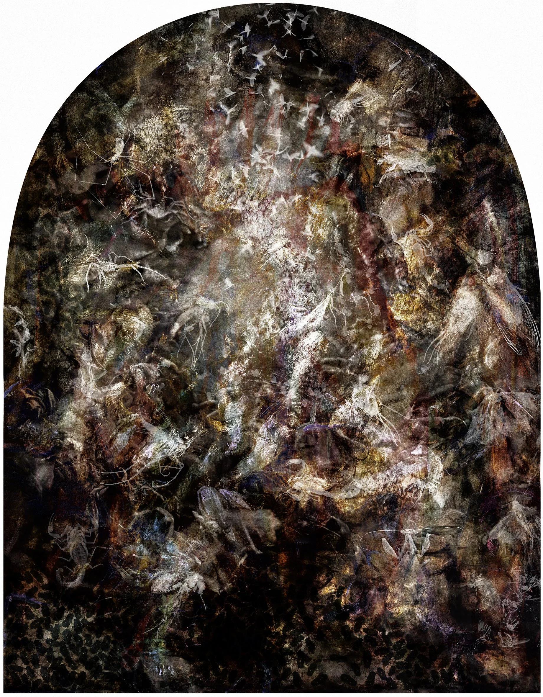 SOLD

Judith Nangala Crispin	"At summer's end, night choirs of insects serenade the fire-blackened trees"

Lumachrome, chemigram, drawing. Collected insects and arachnids with charcoal from the fireground, crayon, paint, graphite, dirt, sticks, misce