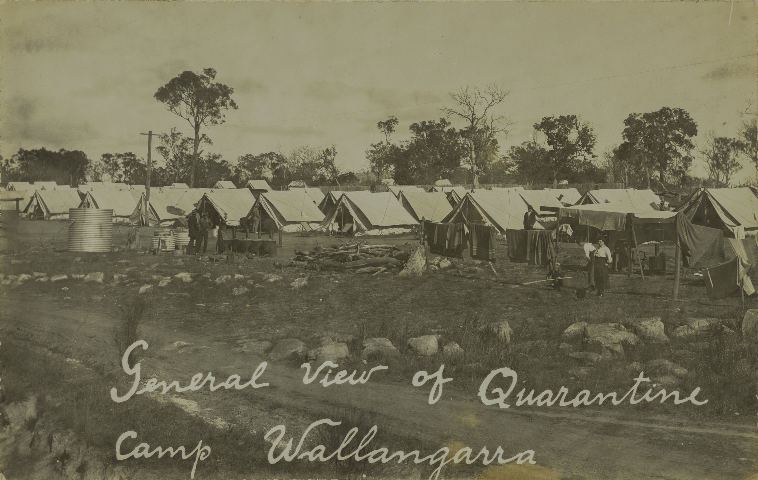 People standing outside rows of tents at the Wallangarra Quarantine Camp, 1919 SLQ.jpg