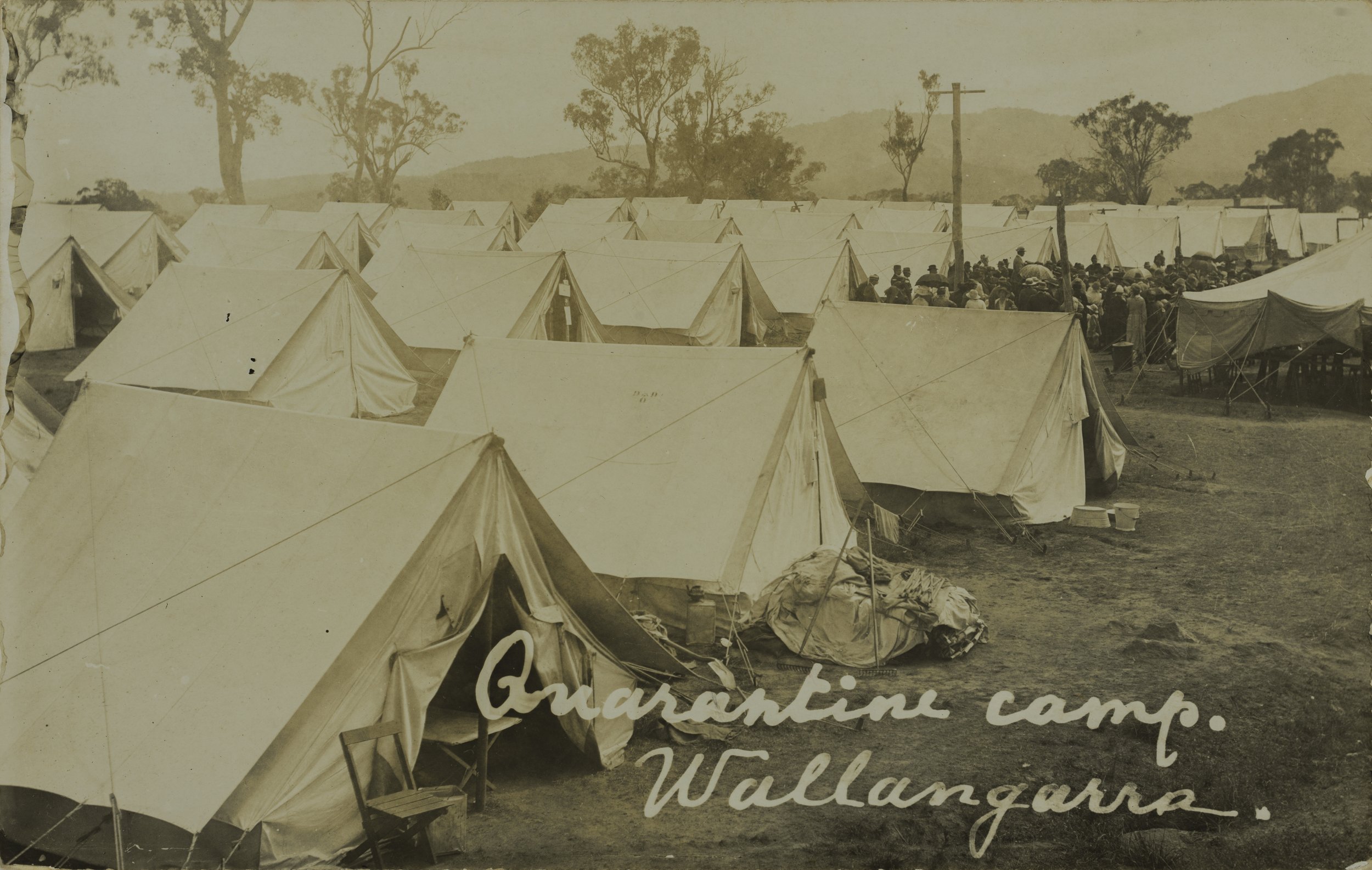 Rows of tents at the Wallangarra Quarantine camp, 1919 SLQ.jpg