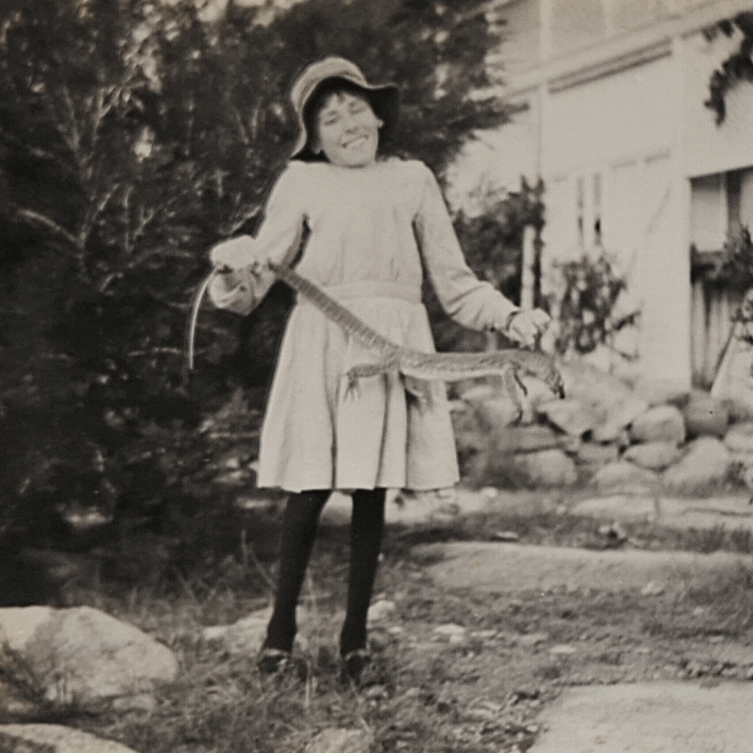 Violet Denyer &amp; the Iguana, Stanthorpe 21.2.1915