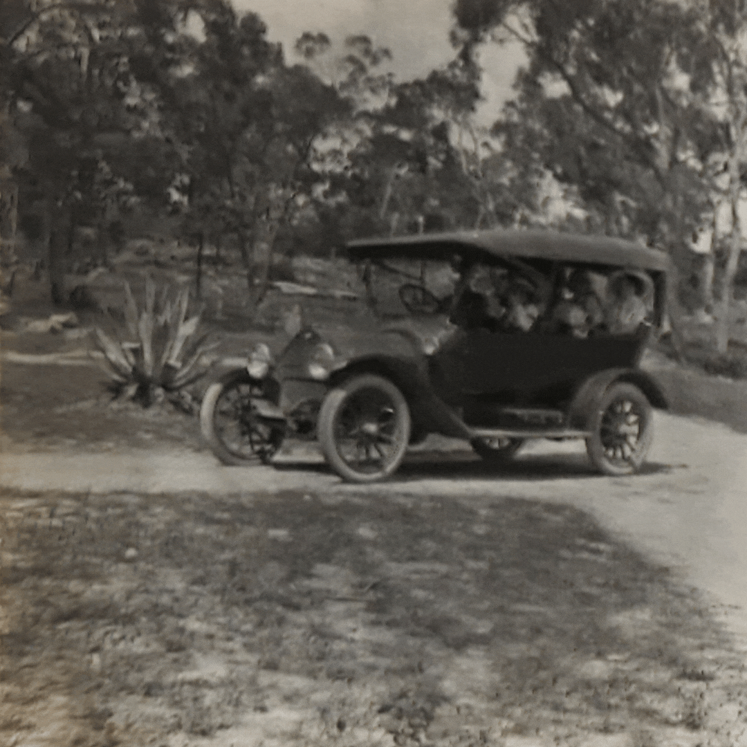 Returning from a visit to Stanthorpe 4.3.1916