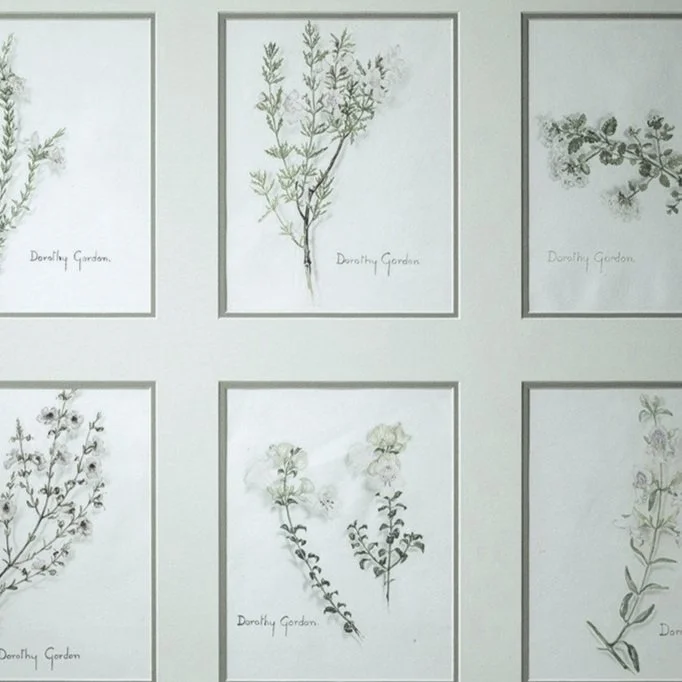 Dorothy+Gordon+botanical+set.jpg