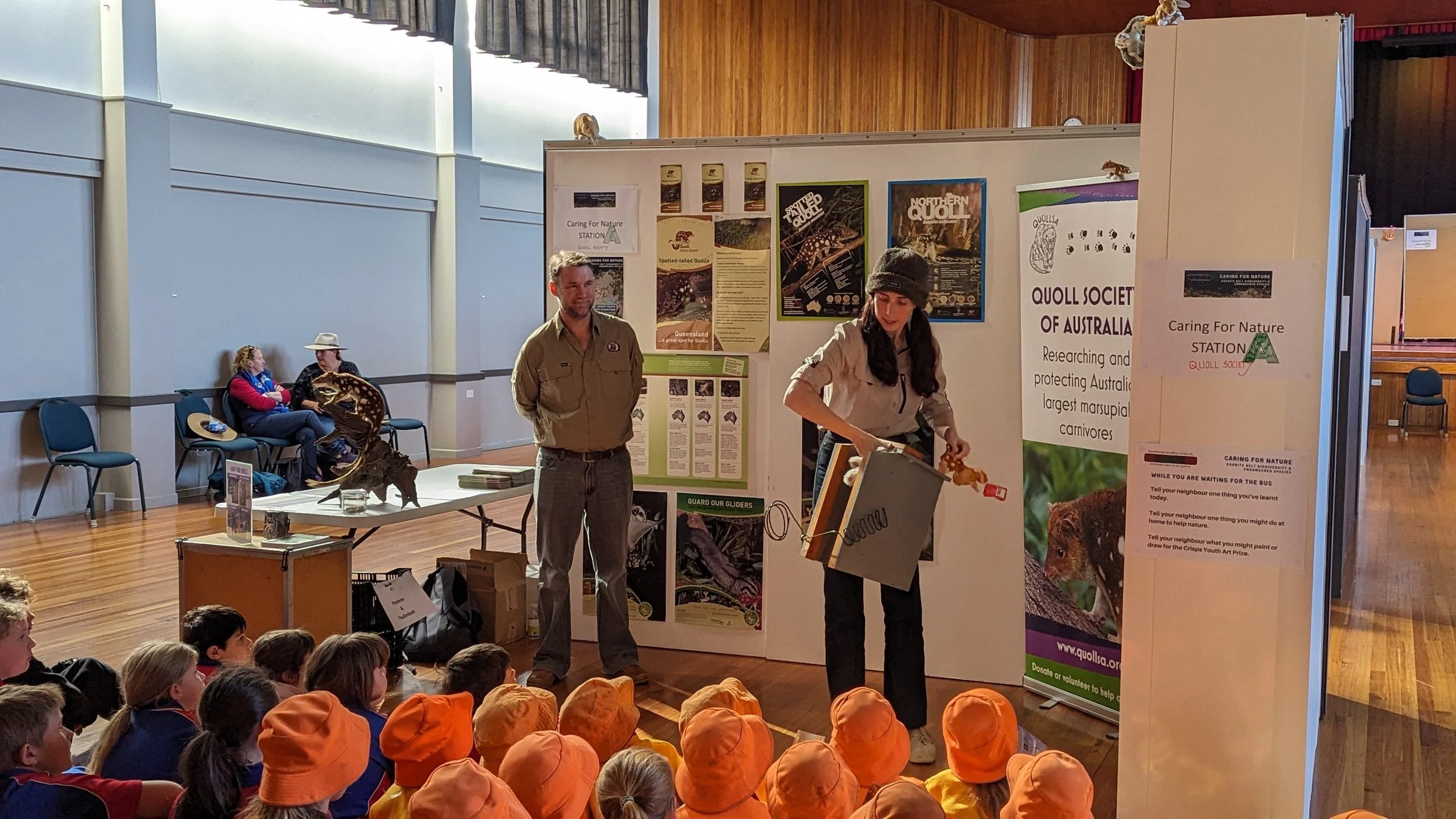 Learning about quolls
