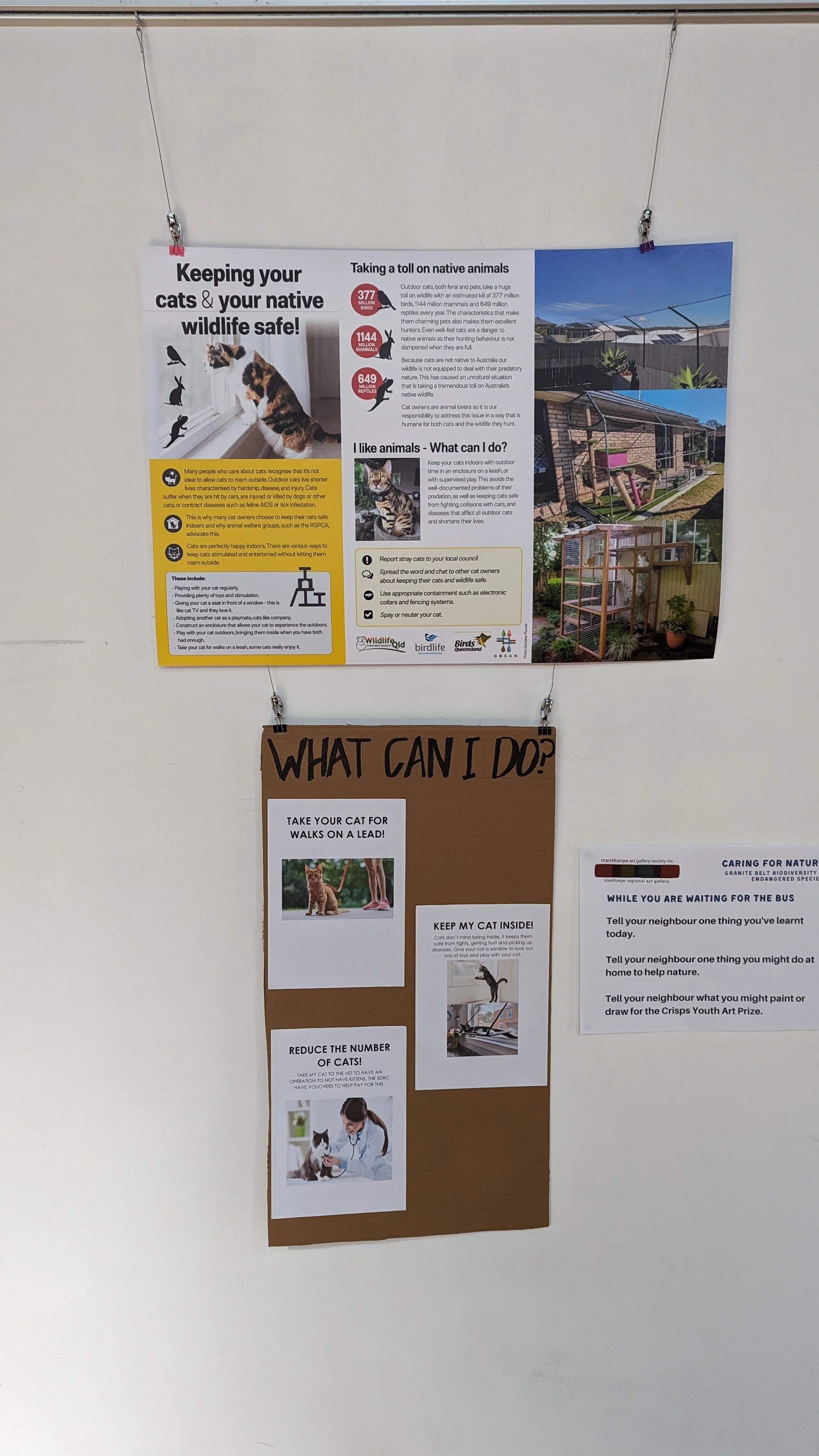 Keep your cat inside and safe
