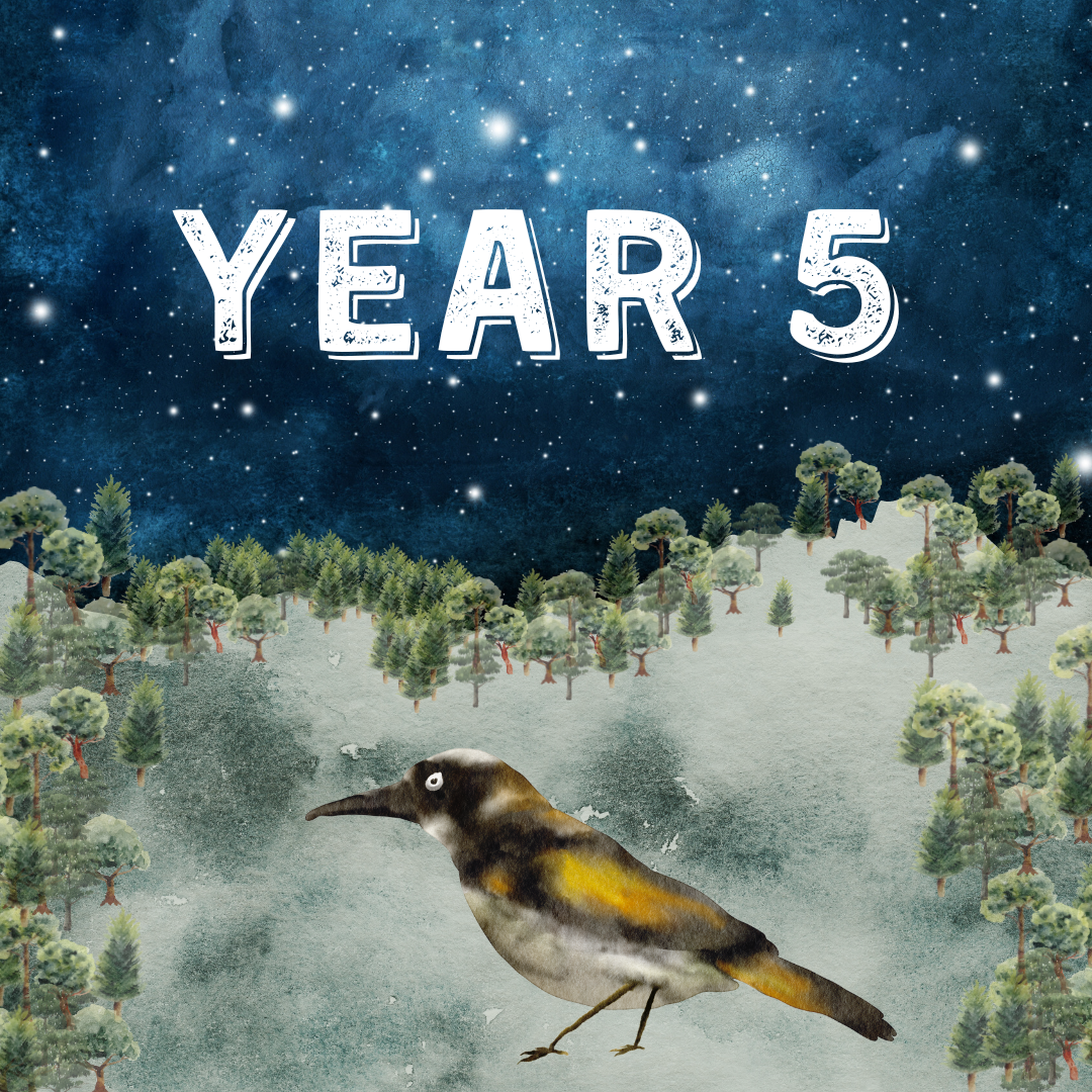 Year 5