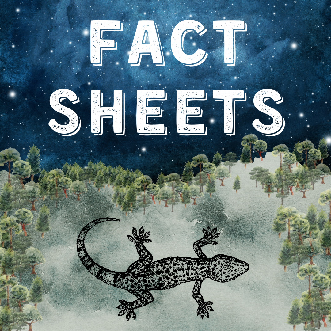 Fact Sheets