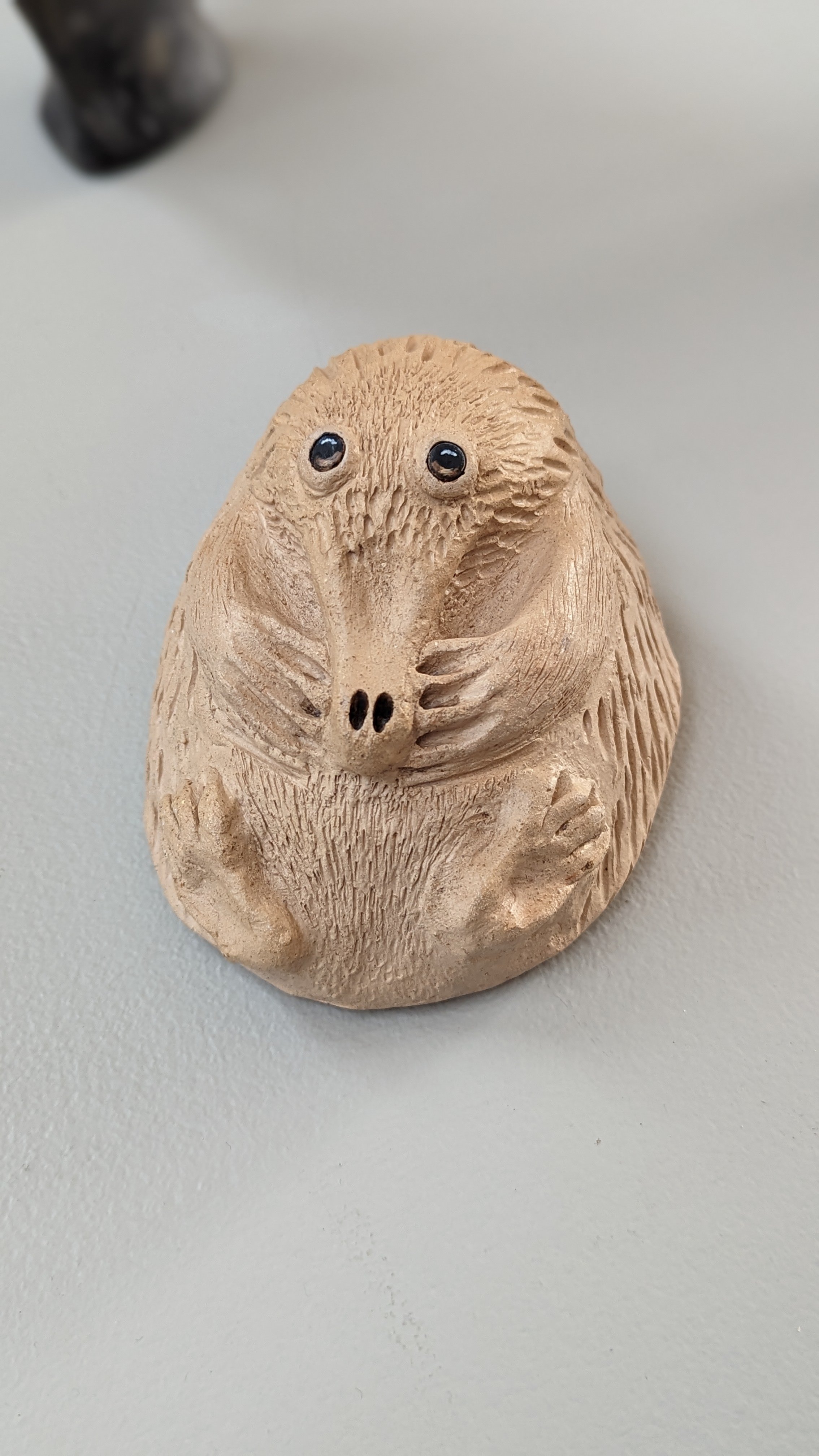 Whoops - Echidna by Judy James.jpg