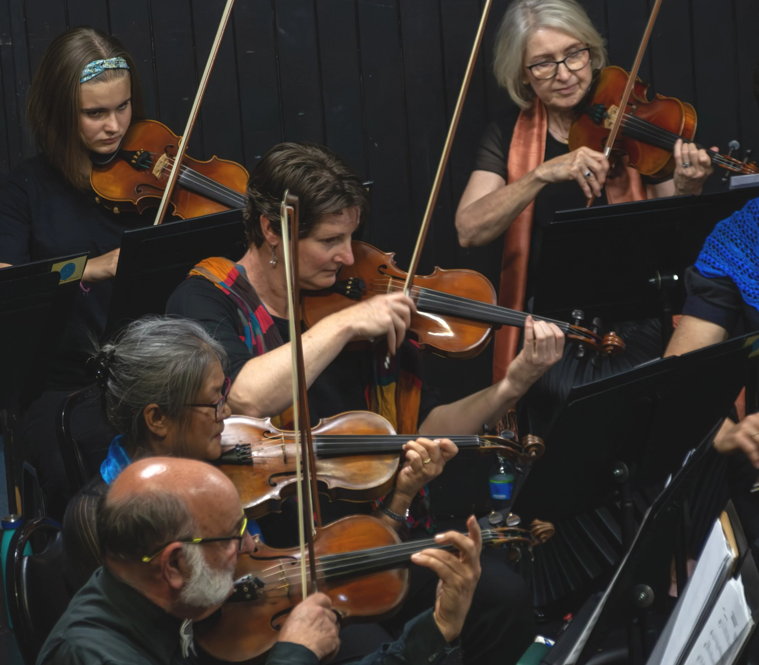 Southern Downs String Ensemble, Twist and Shout - Dance Music Through the Centuries