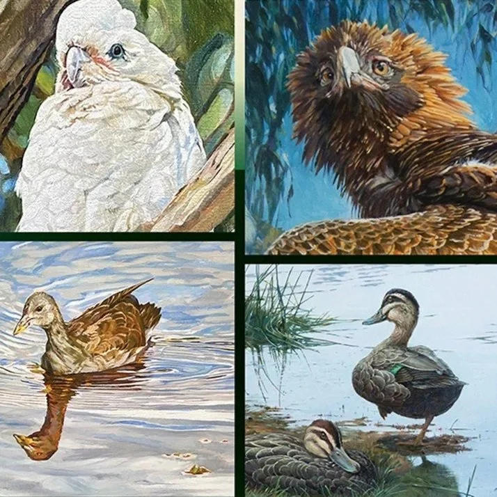 Rob Allen “For the Birds”