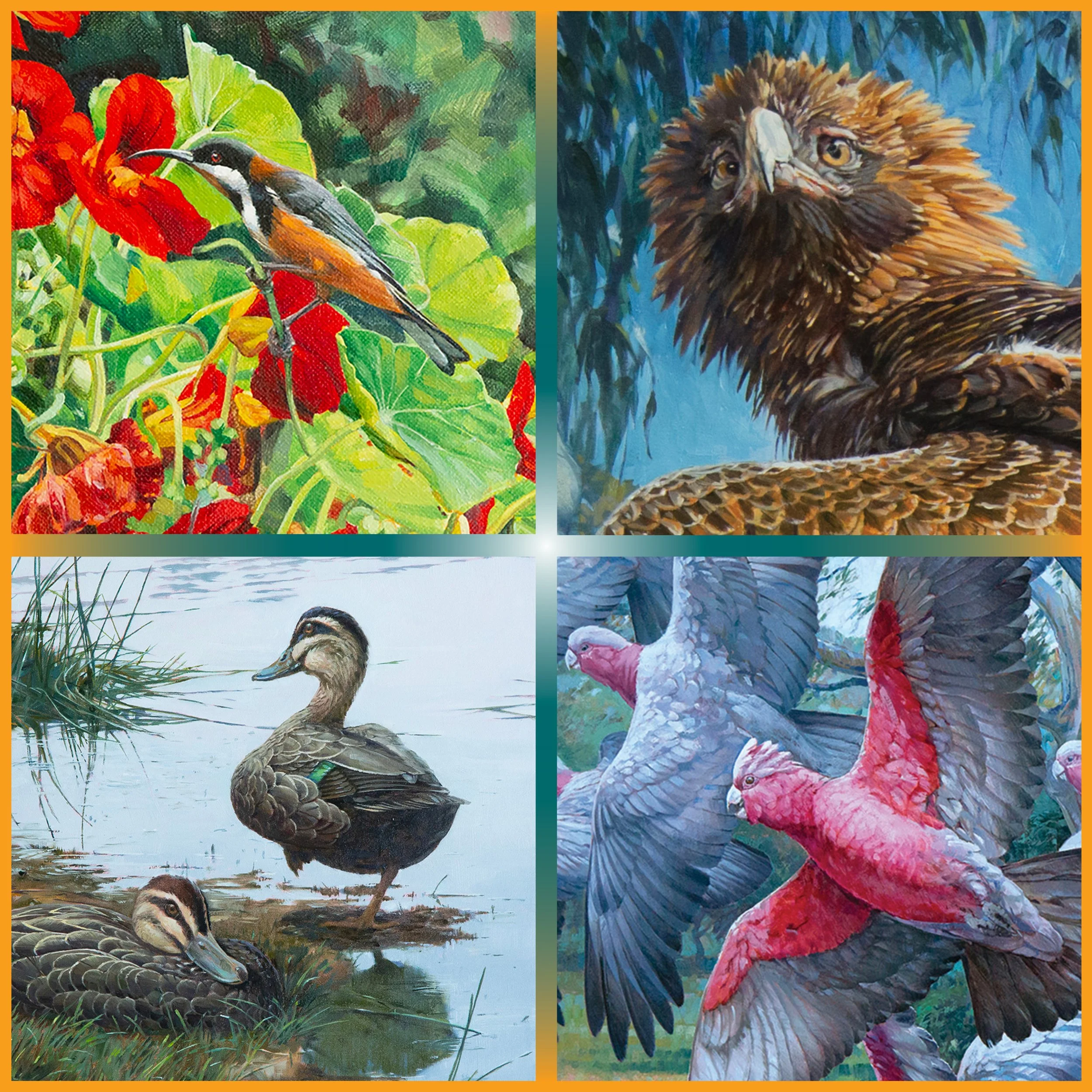 Rob Allen —for the birds