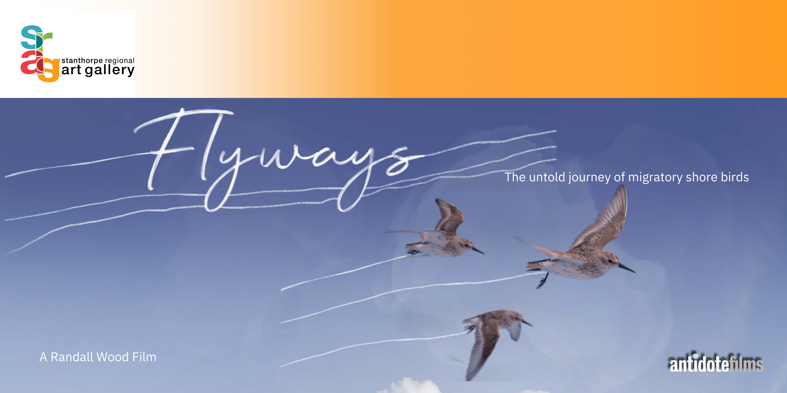 Movie Screening: Flyways