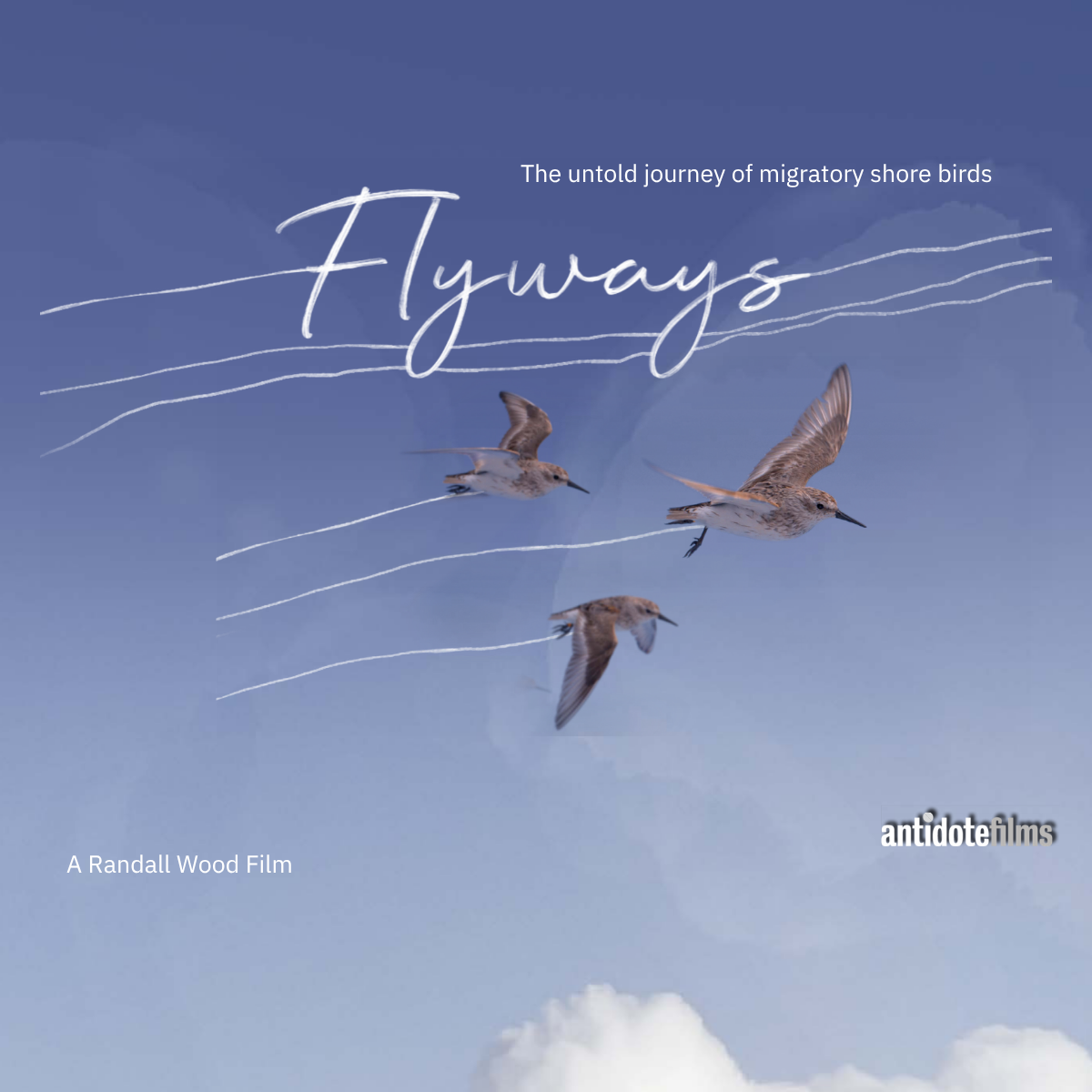 Movie Screening: Flyways