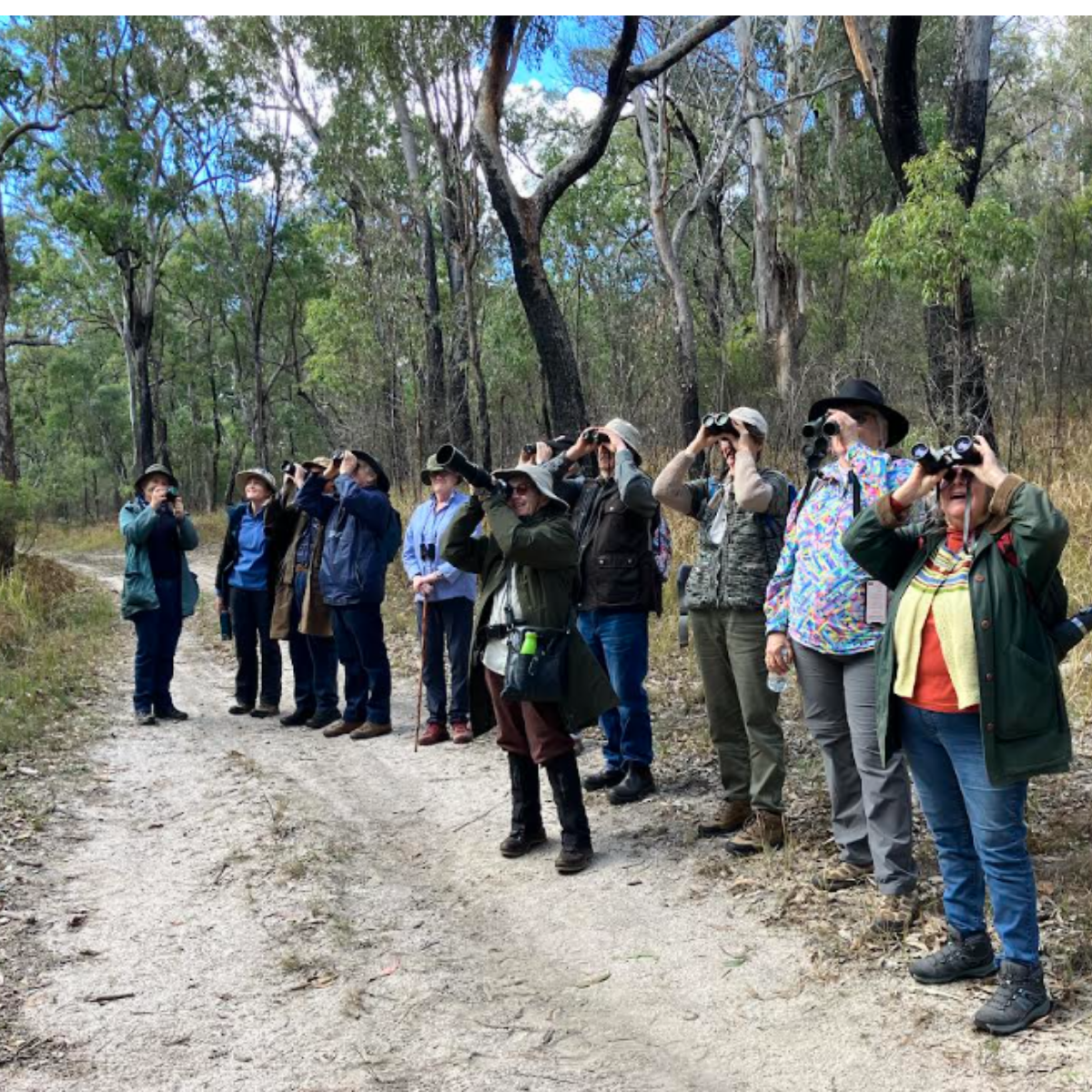 Tenterfield Field Naturalists Birding Group:  Bird Walk n Talk