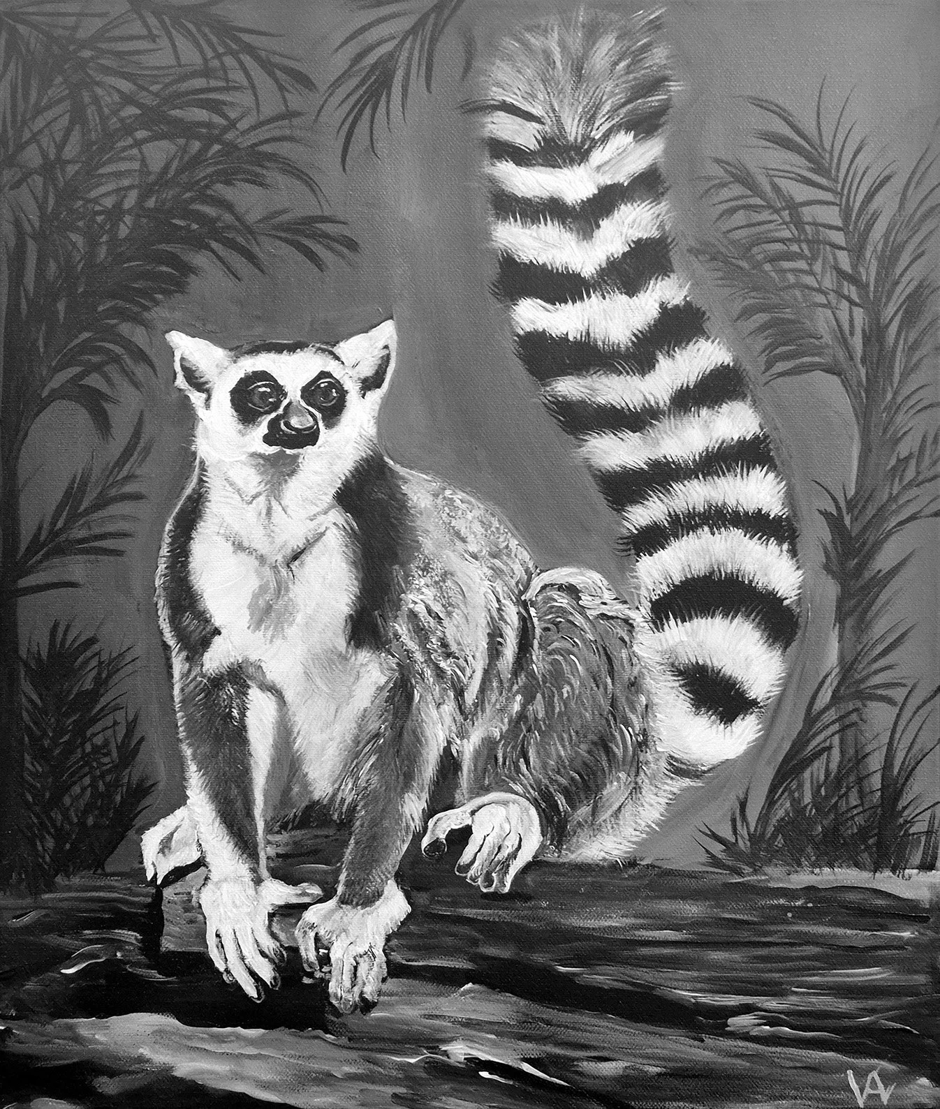 Lemur.jpg