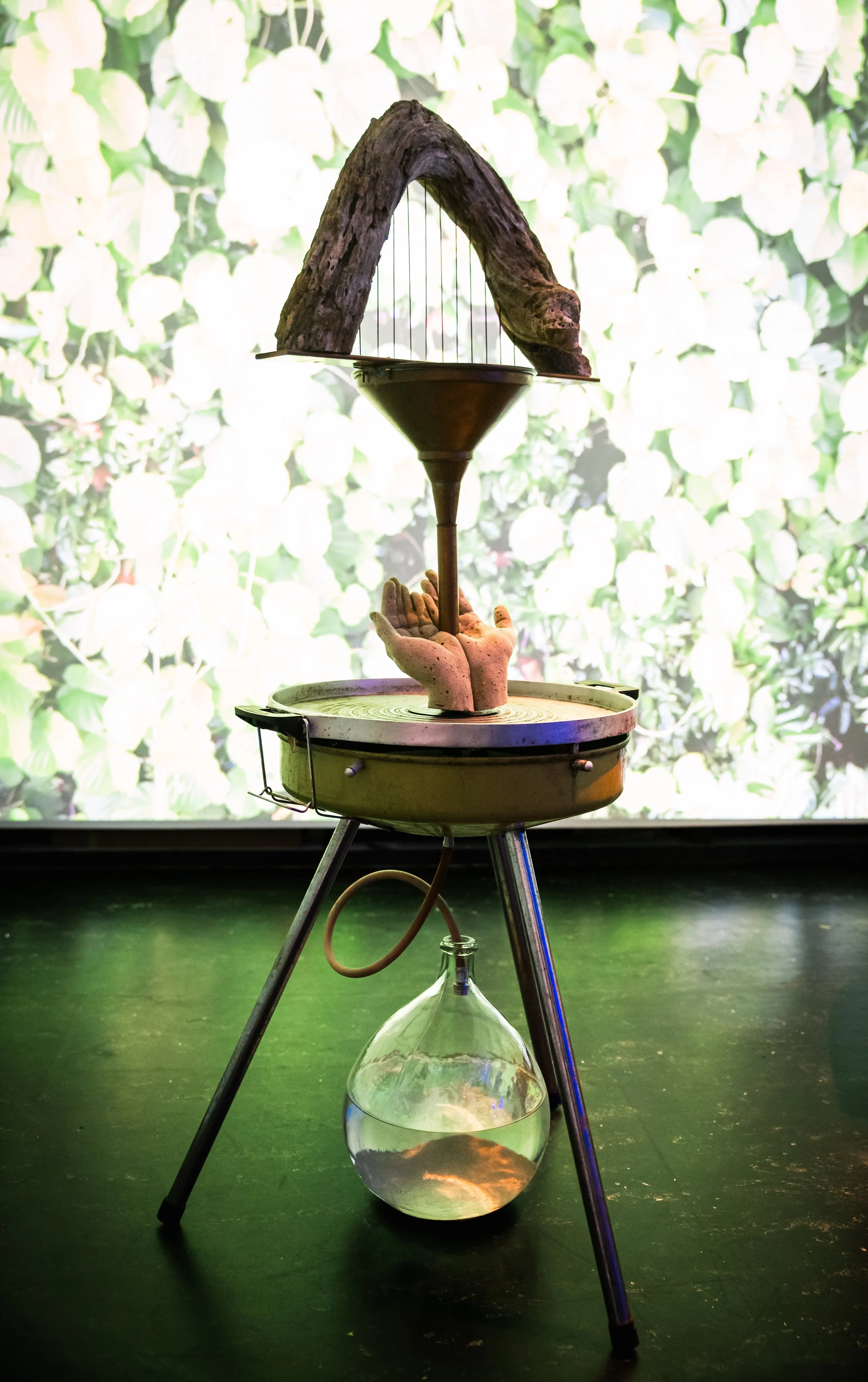 Charlotte_Haywood_artist_Viriditas_Image_Hamish_McCormick.jpg