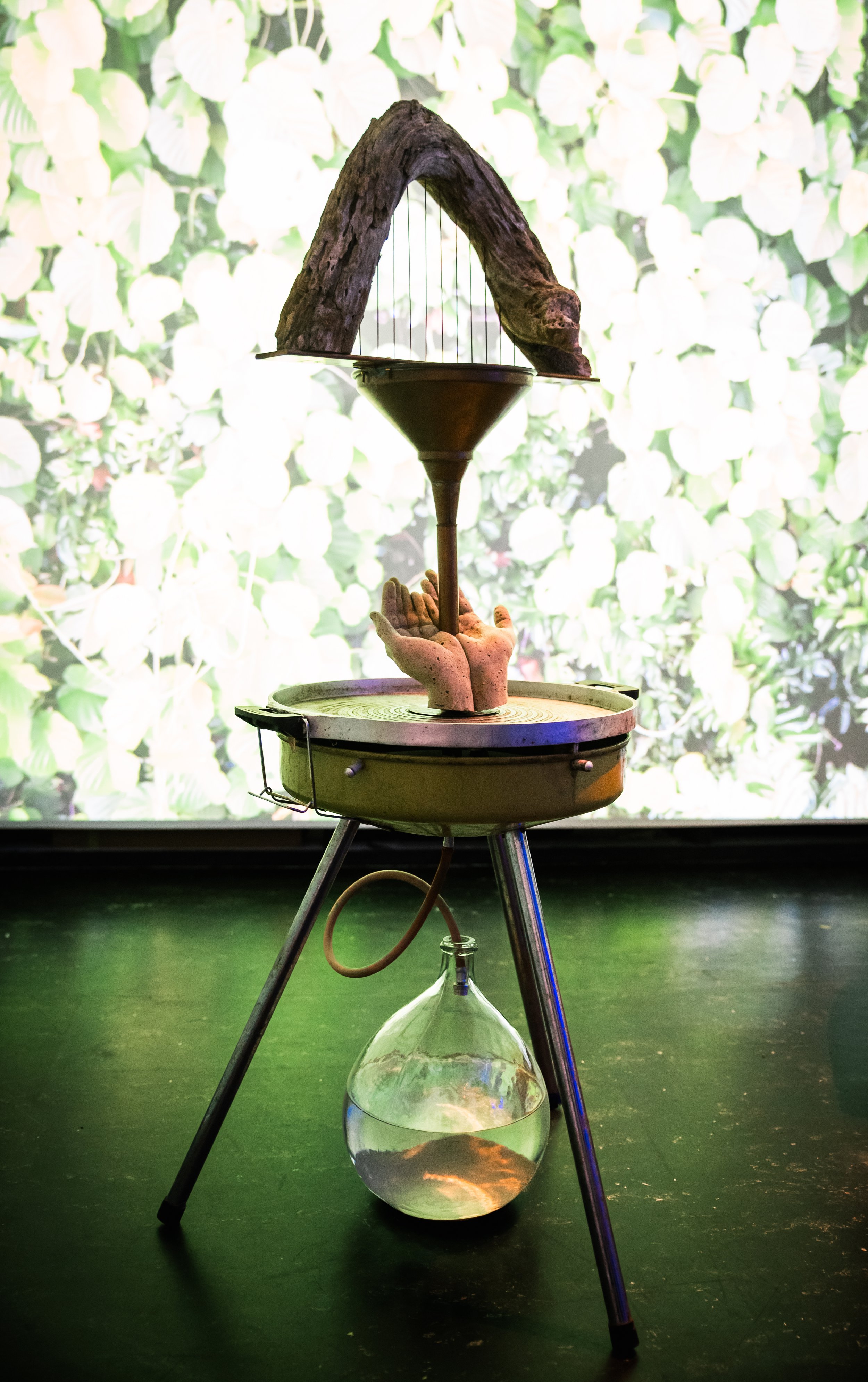 Charlotte_Haywood_artist_Viriditas_Image_Hamish_McCormick.jpg