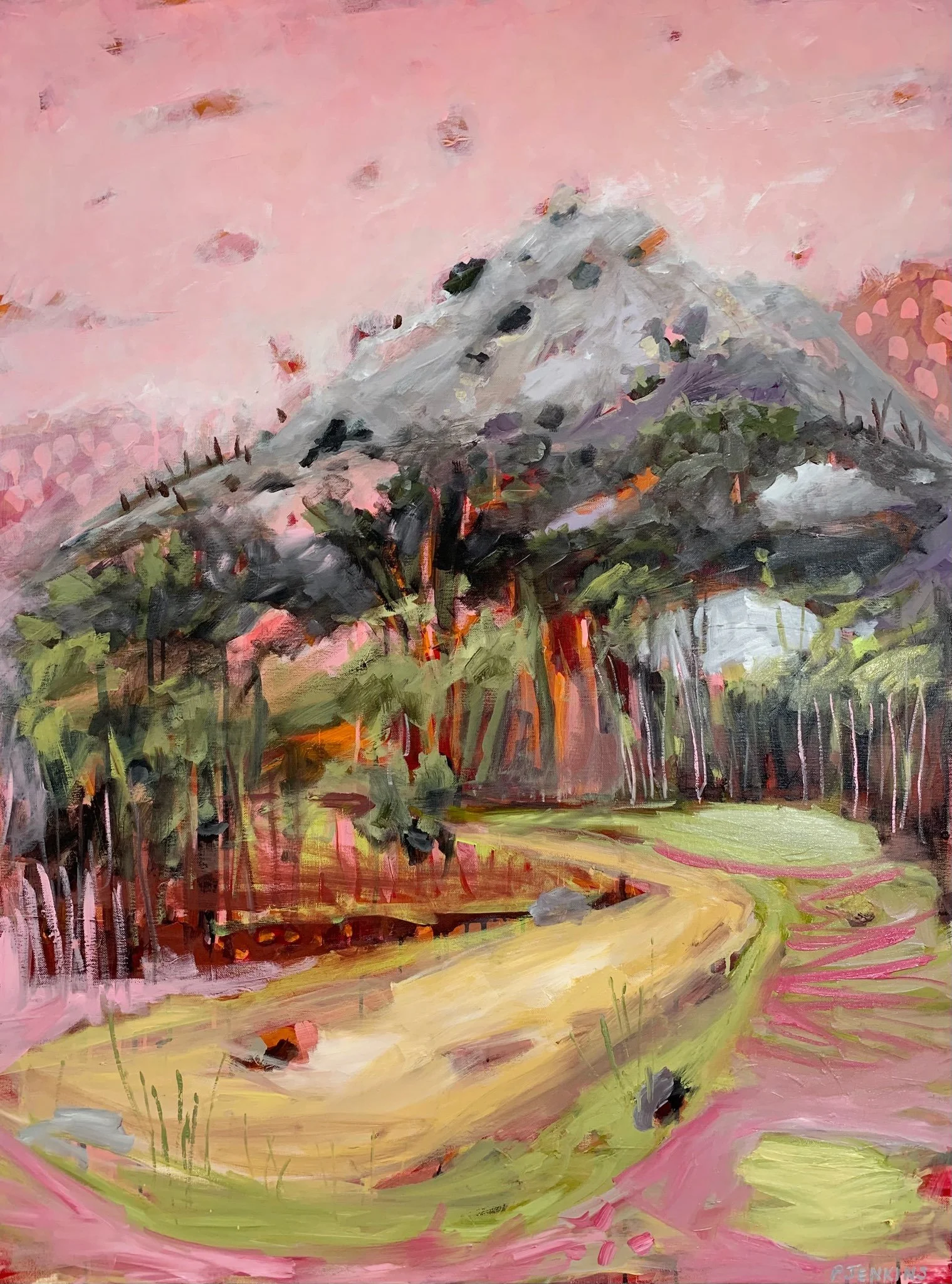Paula Jenkins_Approaching the Pyramid, Girraween National Park_102x76cm_Oil on canvas.jpg