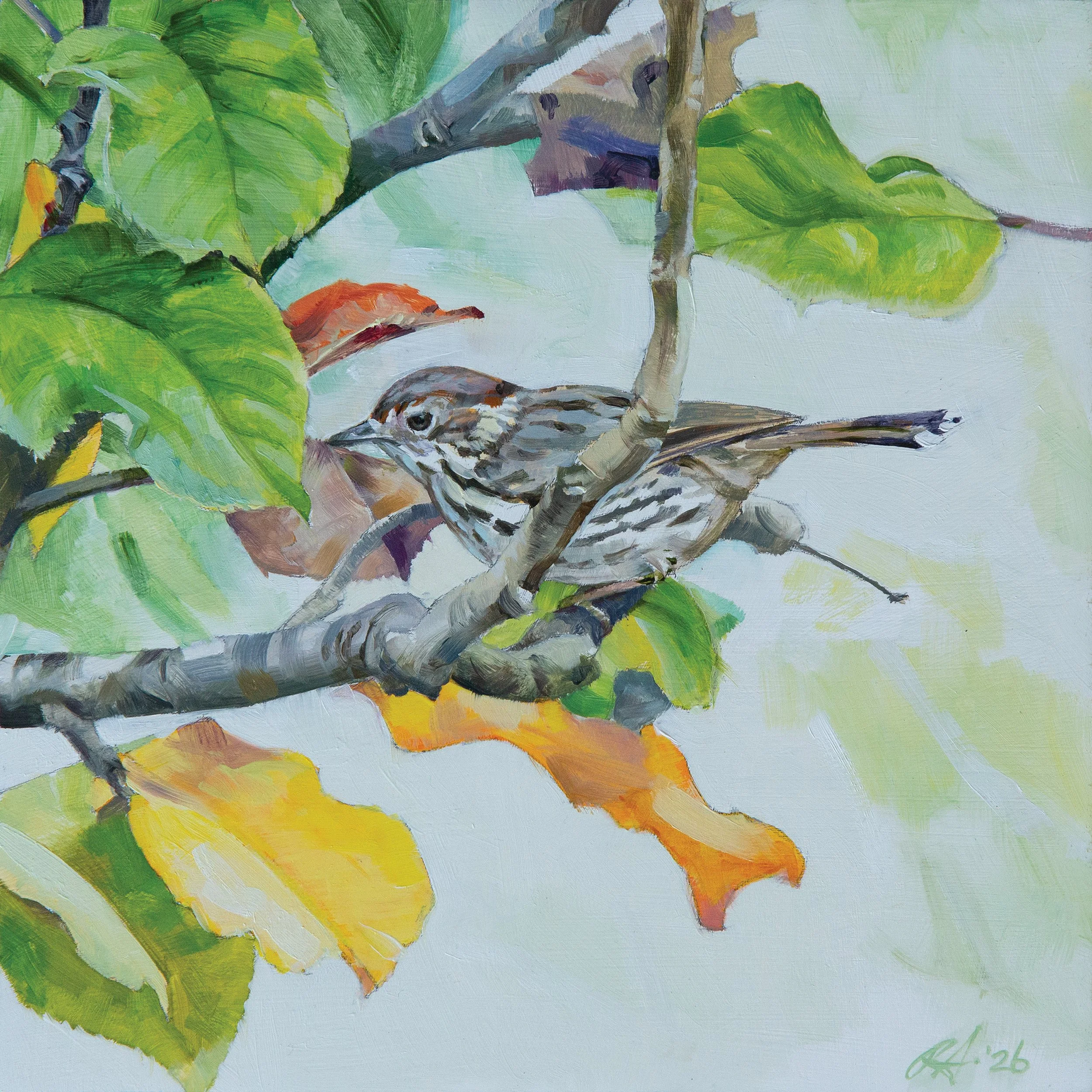 Winter warbler
