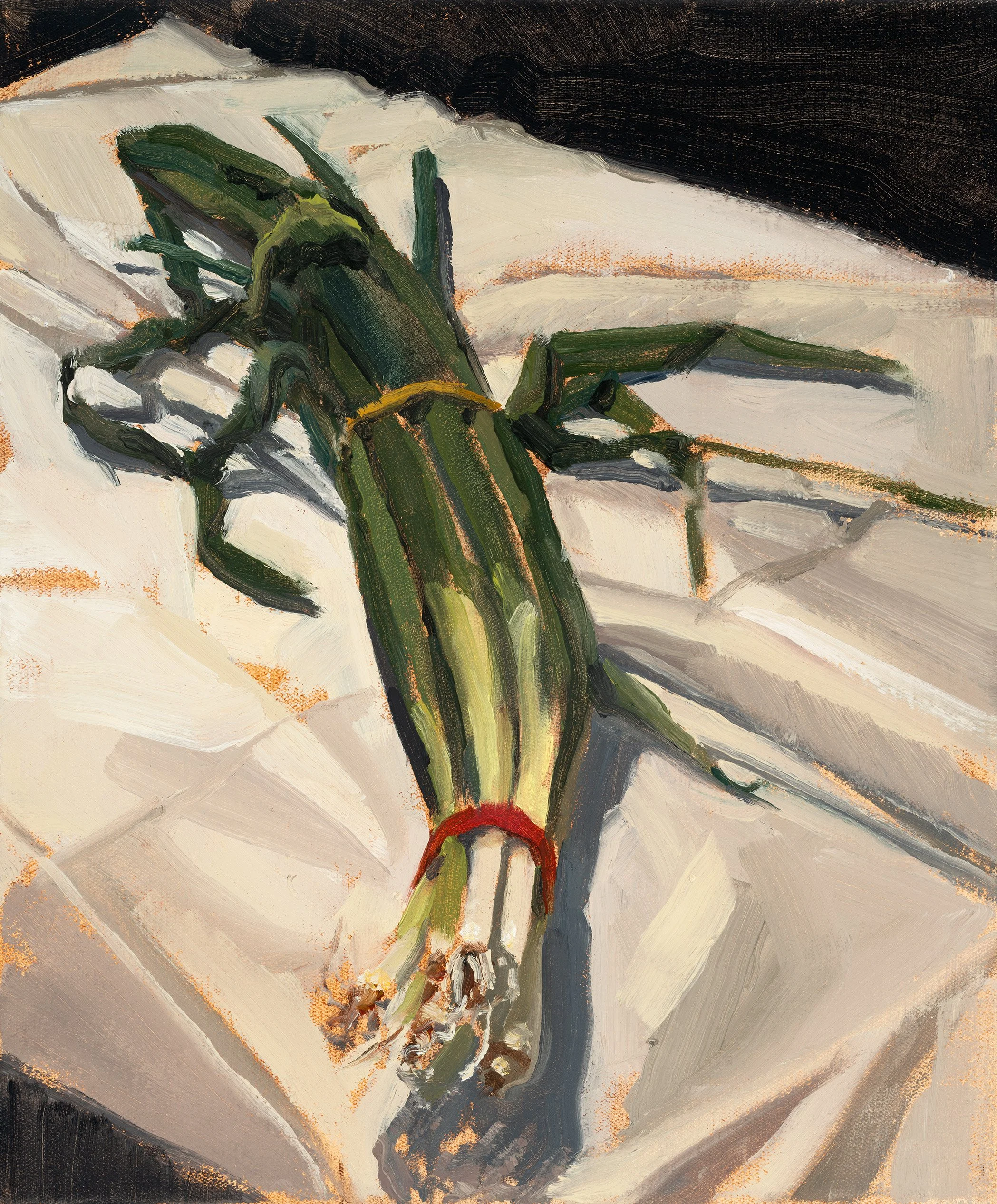 Conor Knight "Spring Onions"

Oil on canvas

32cm x 28cm $1,100

