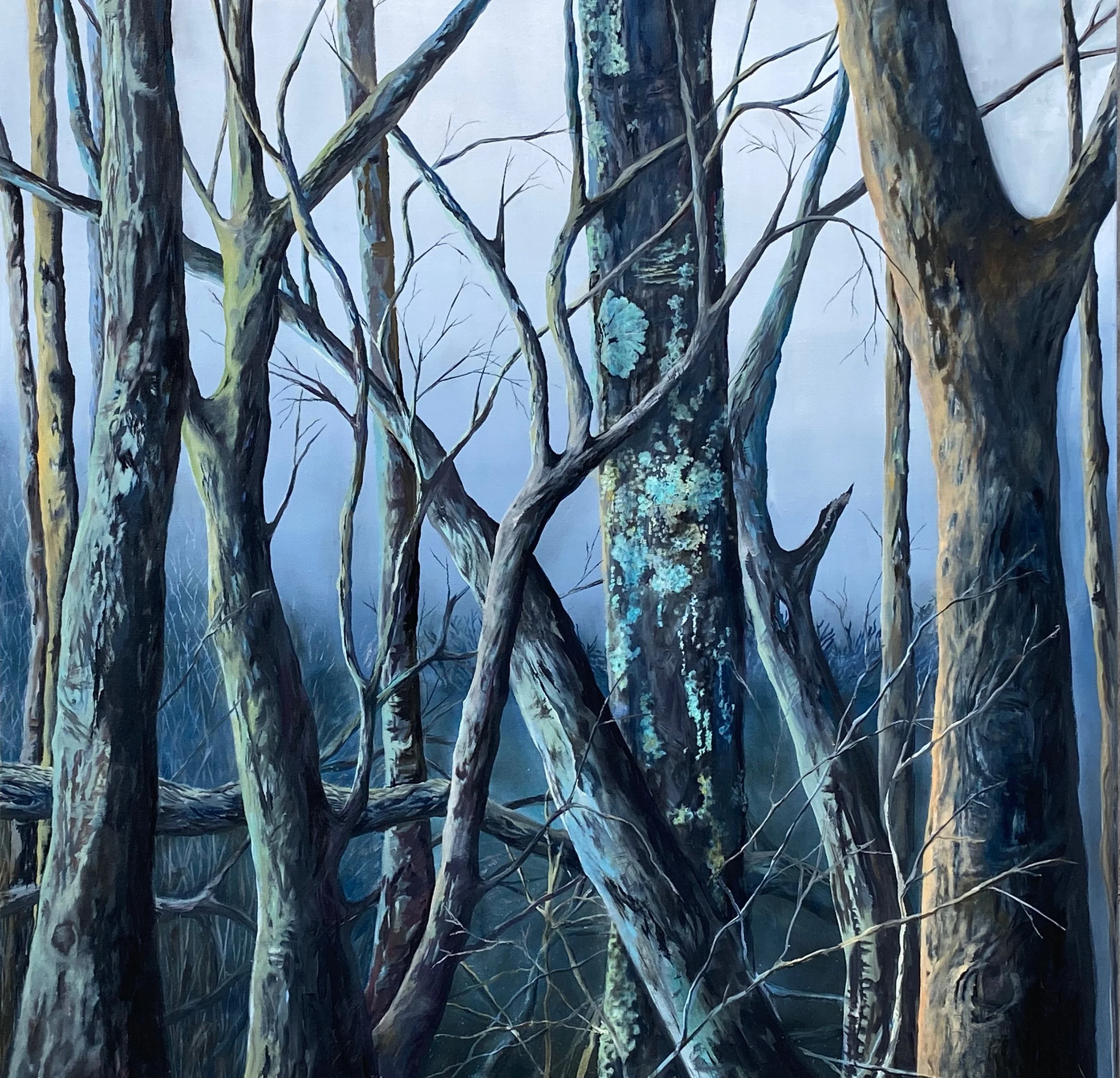 Jane Millington	"Binding"

Oils on Canvas

100cm x 100cm $2,700
