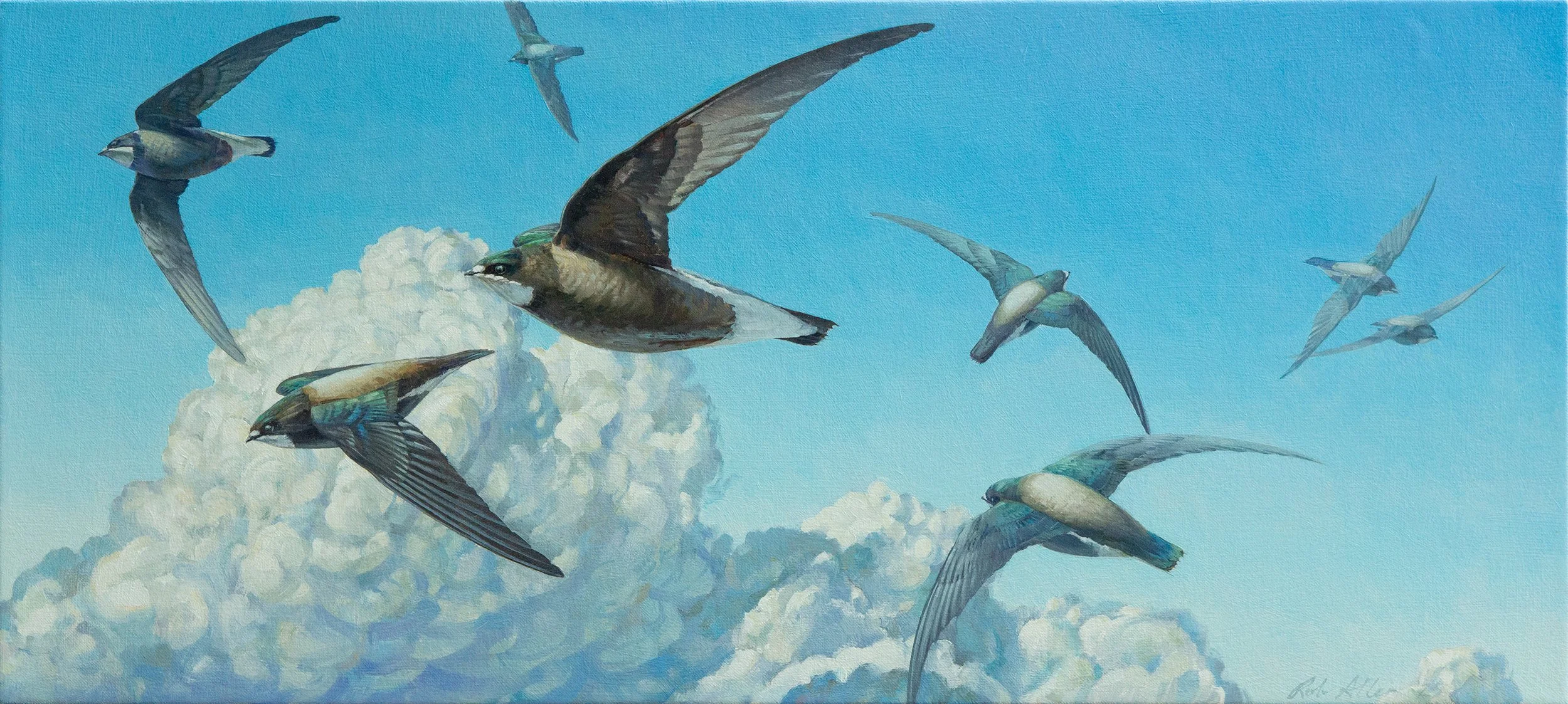 Swift February