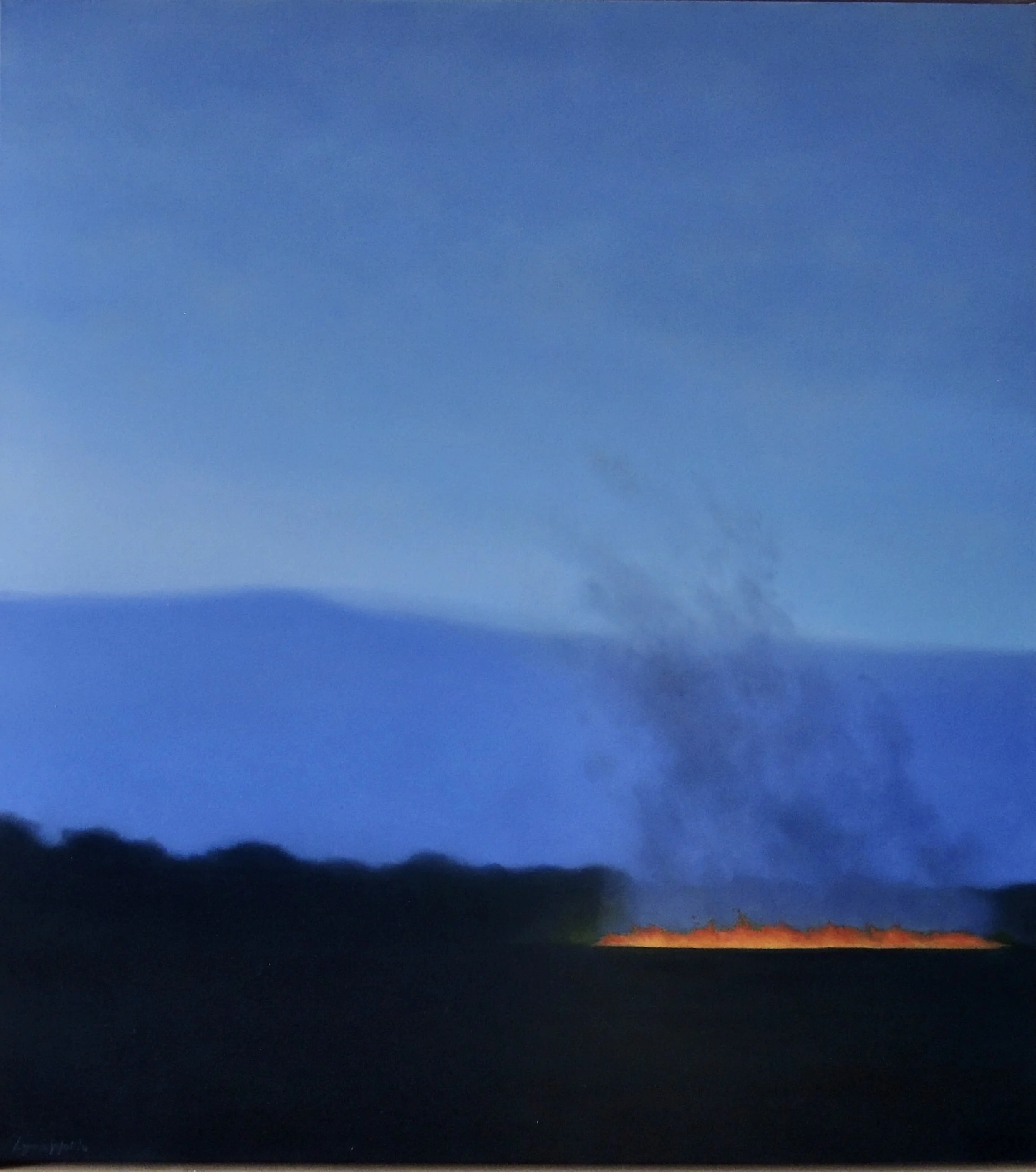 Lynne Wallis "Cane fire, dusk #2"	

Oil on canvas framed in raw oak	

105cm x 95cm $4,800
