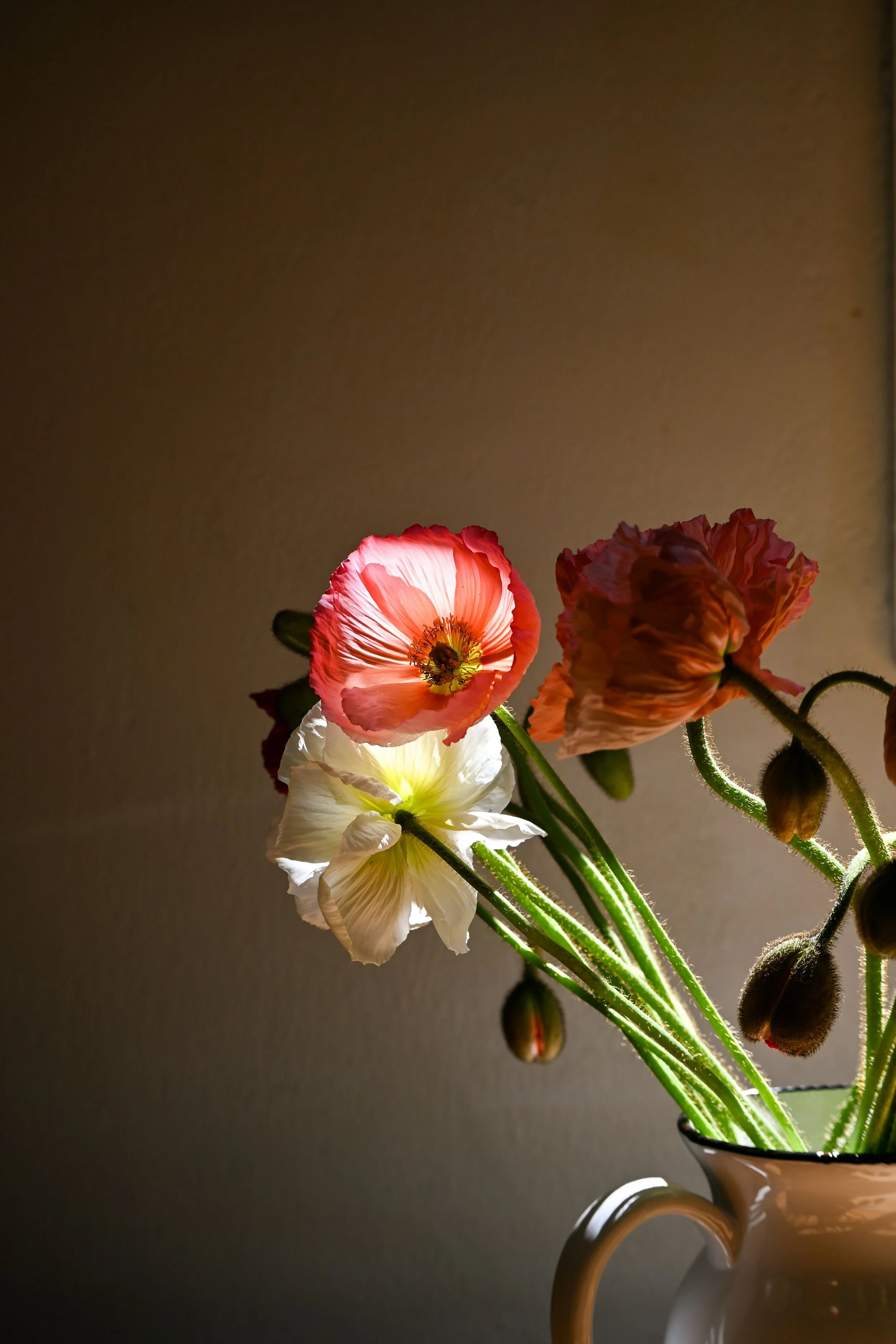 Clarissa Pabst "Paulette's Poppies"

Photography	

99cm x 70cm $2,500

