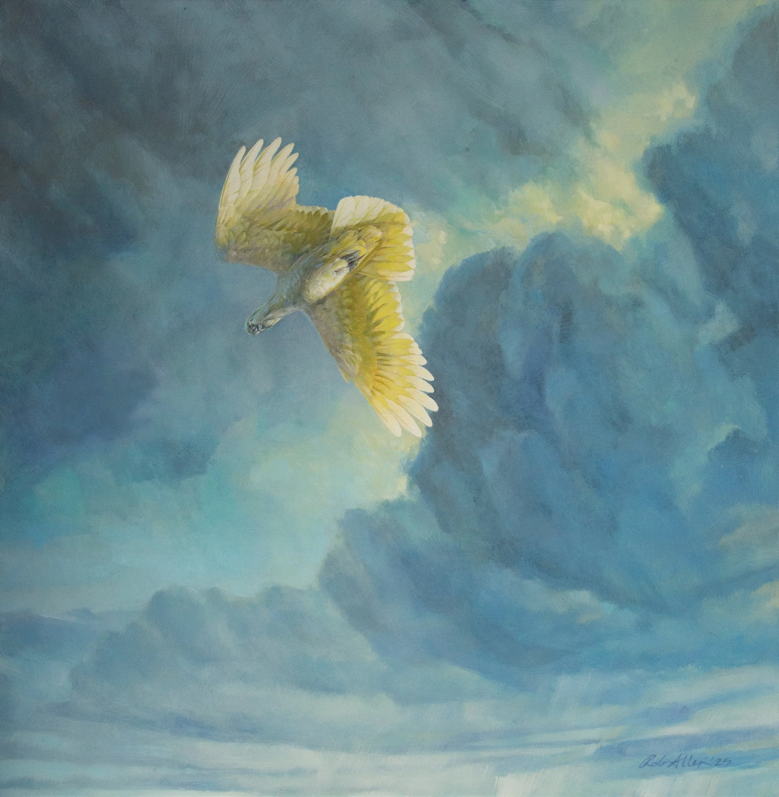 Storm bird