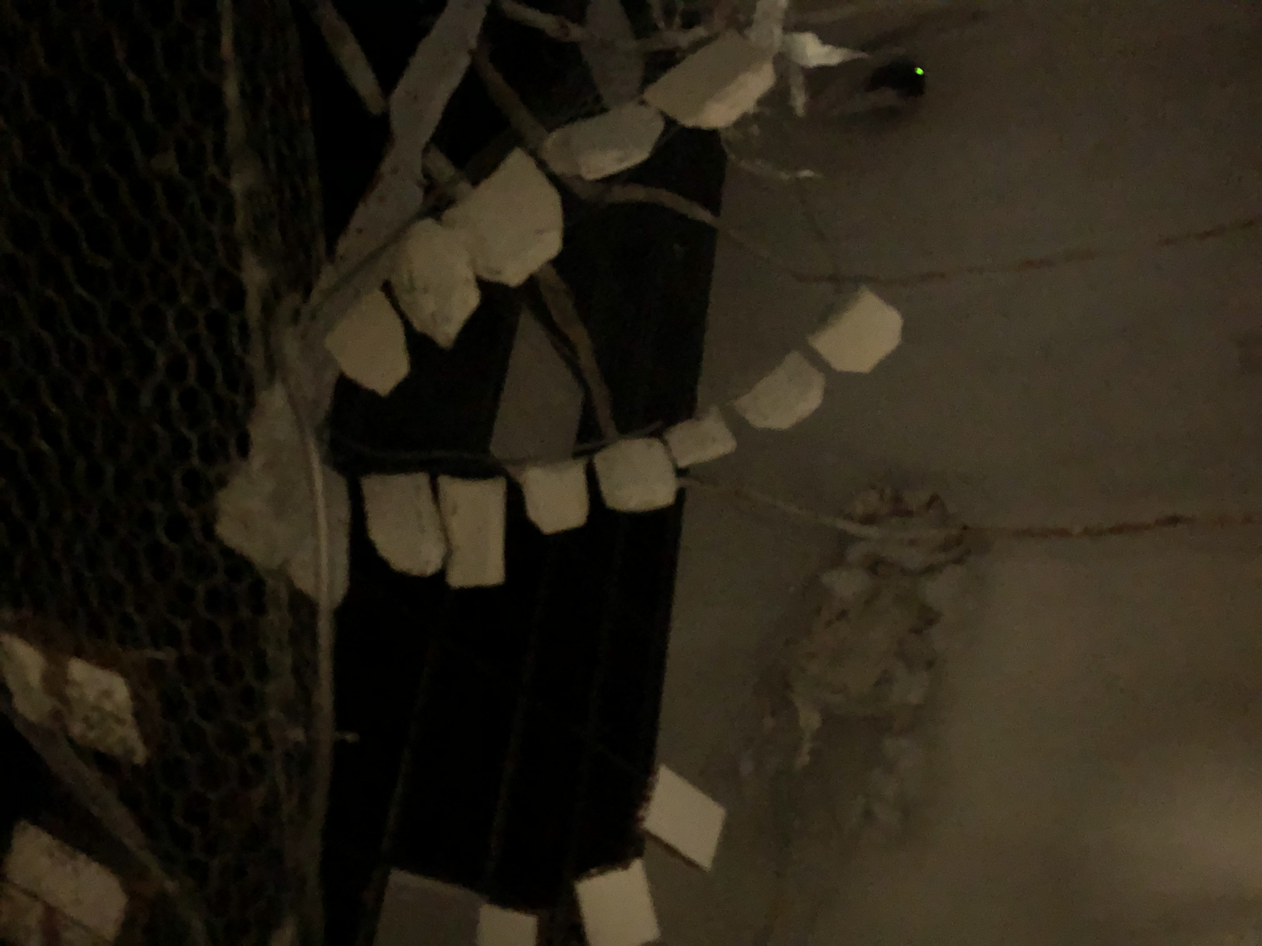 tempImage4RBgtd.png