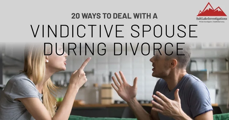Vindictive Example 20 Ways To Deal With A Vindictive Spouse During Divorce