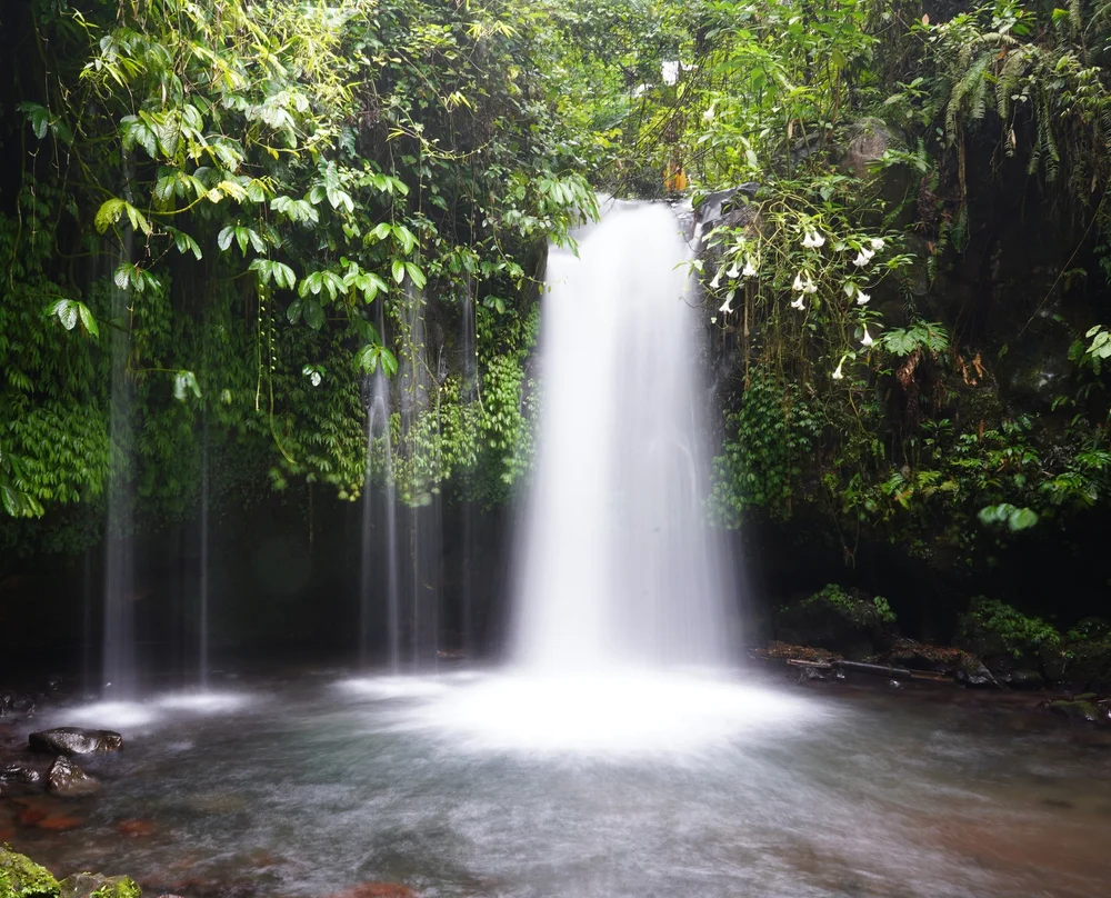 When Is The Best Time To Visit Bali? The Ultimate Guide