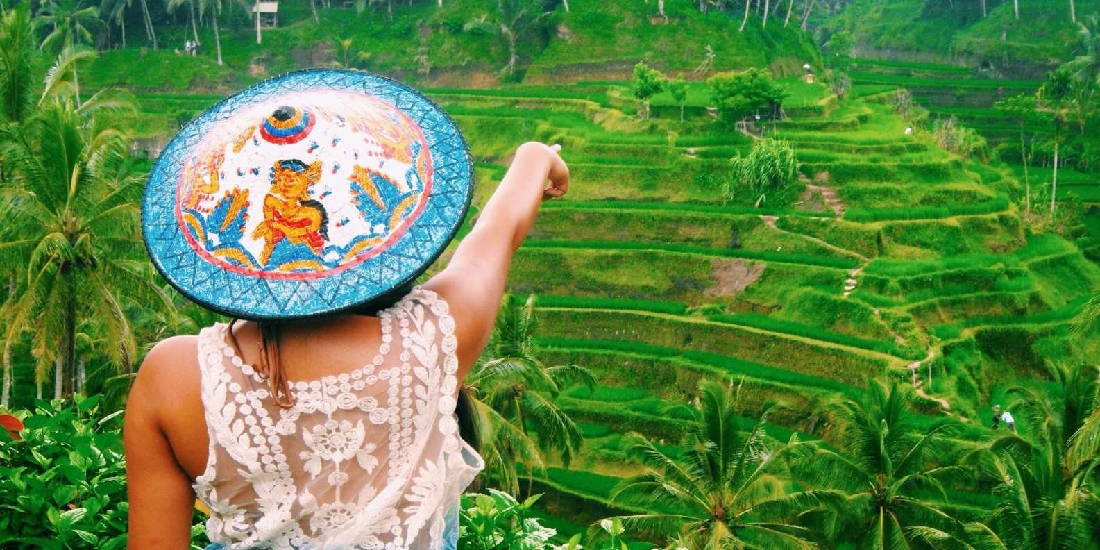 Ubud: Waterfall, Rice Terraces &amp; Monkey Forest Private Tour