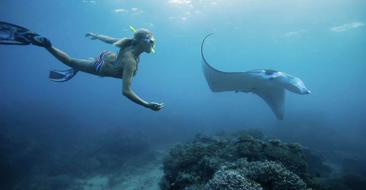007-bali-swim-with-manta-rays-in-nusa-penida-1-t103568.jpg