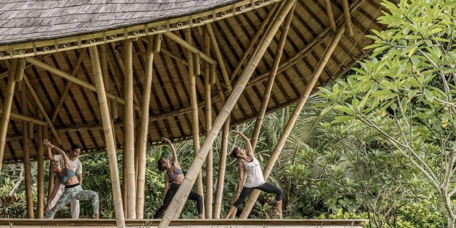 Rejuvenate Captivating Bali Wellness Tours Activities