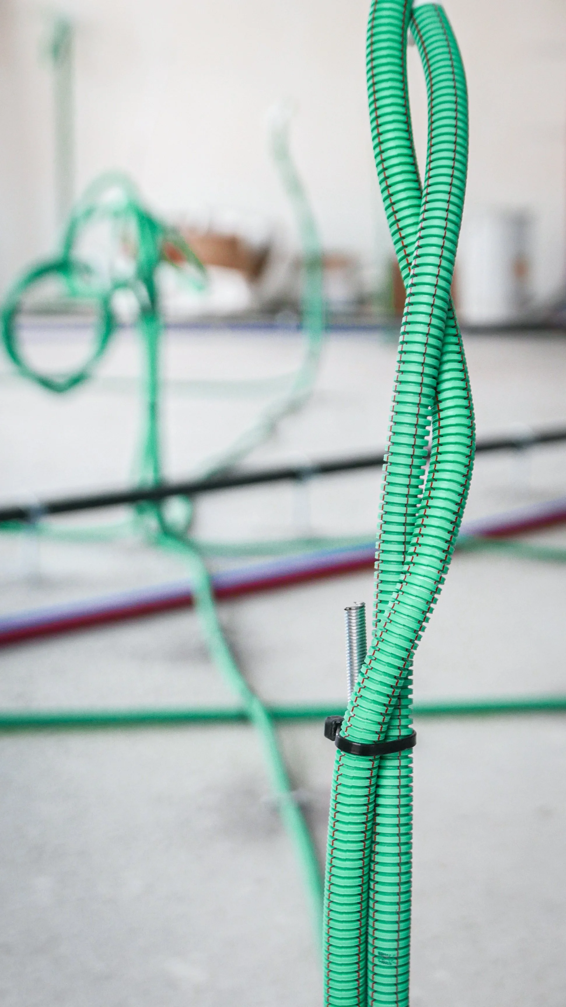 VETCENTER 250902-23.jpg