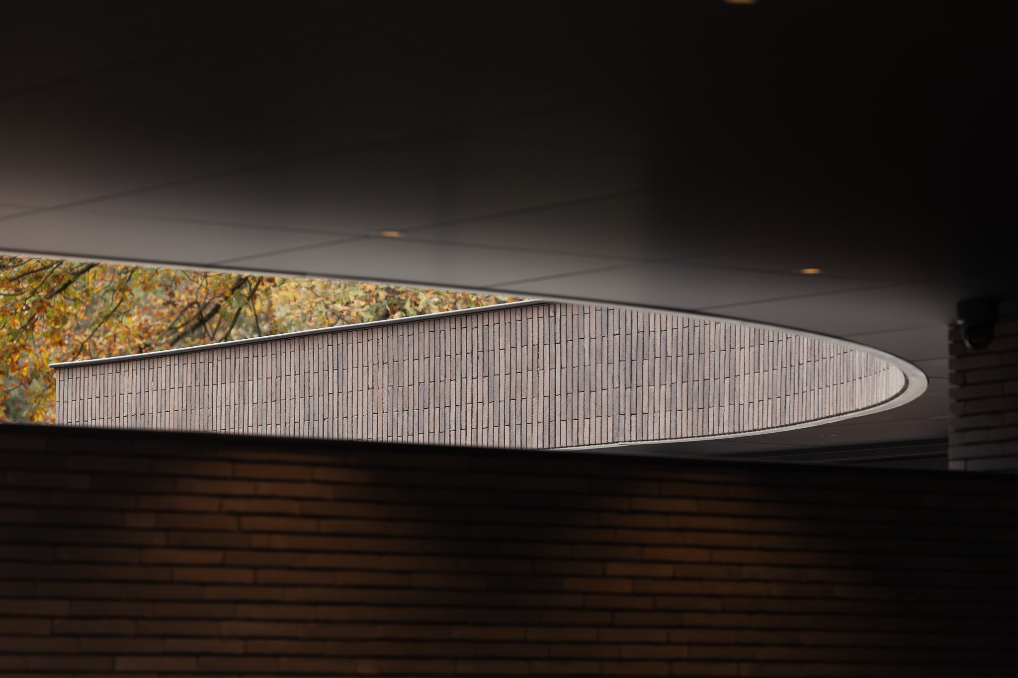 Vandewalle Web (21).jpg