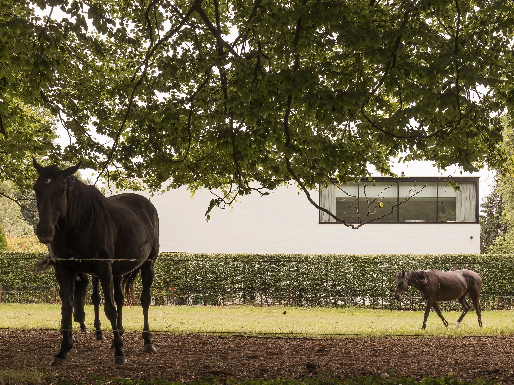 Nouvelle Drève Web-2.jpg