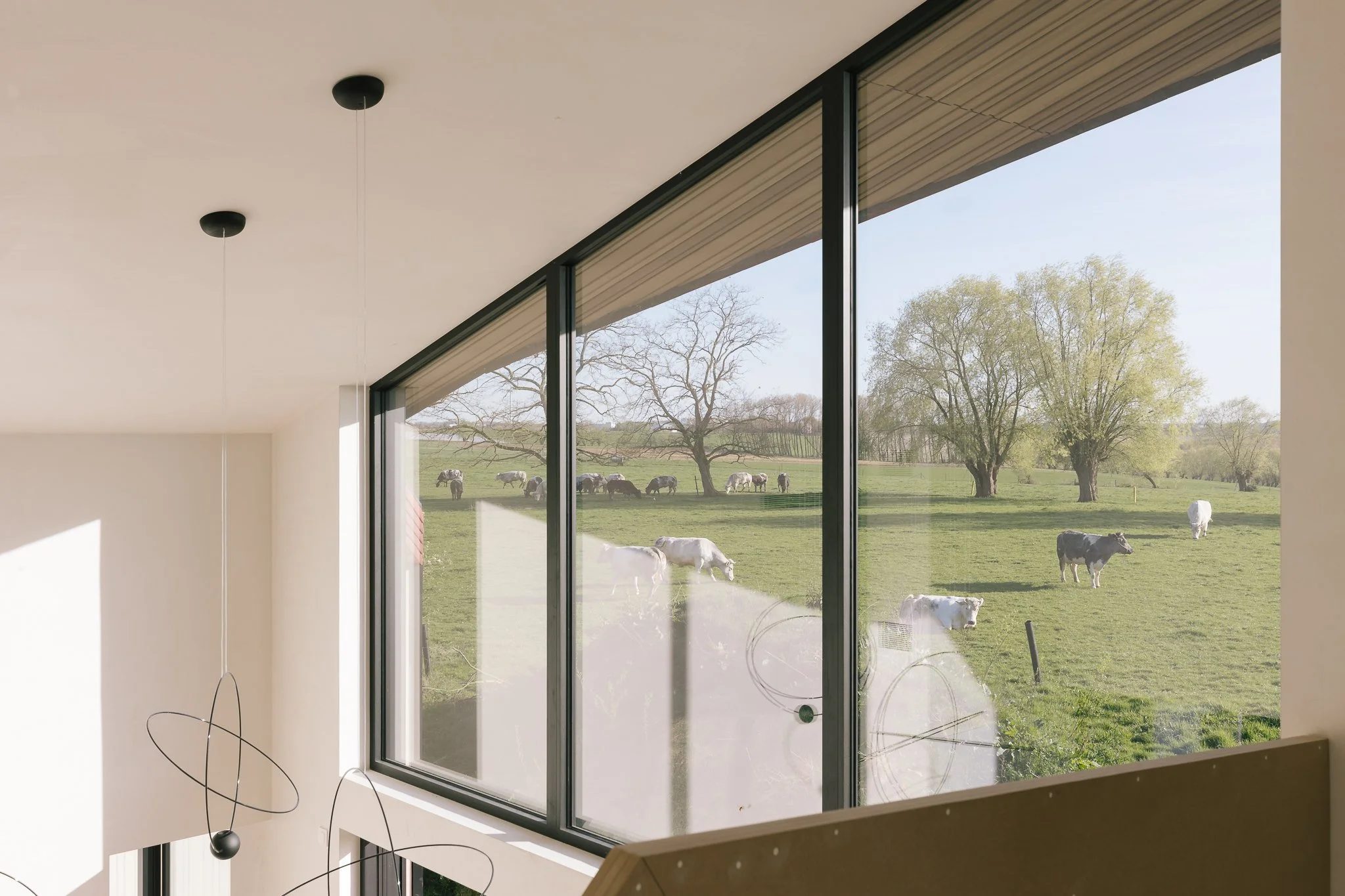 Cantine web ©Utku Pekli (32).jpg