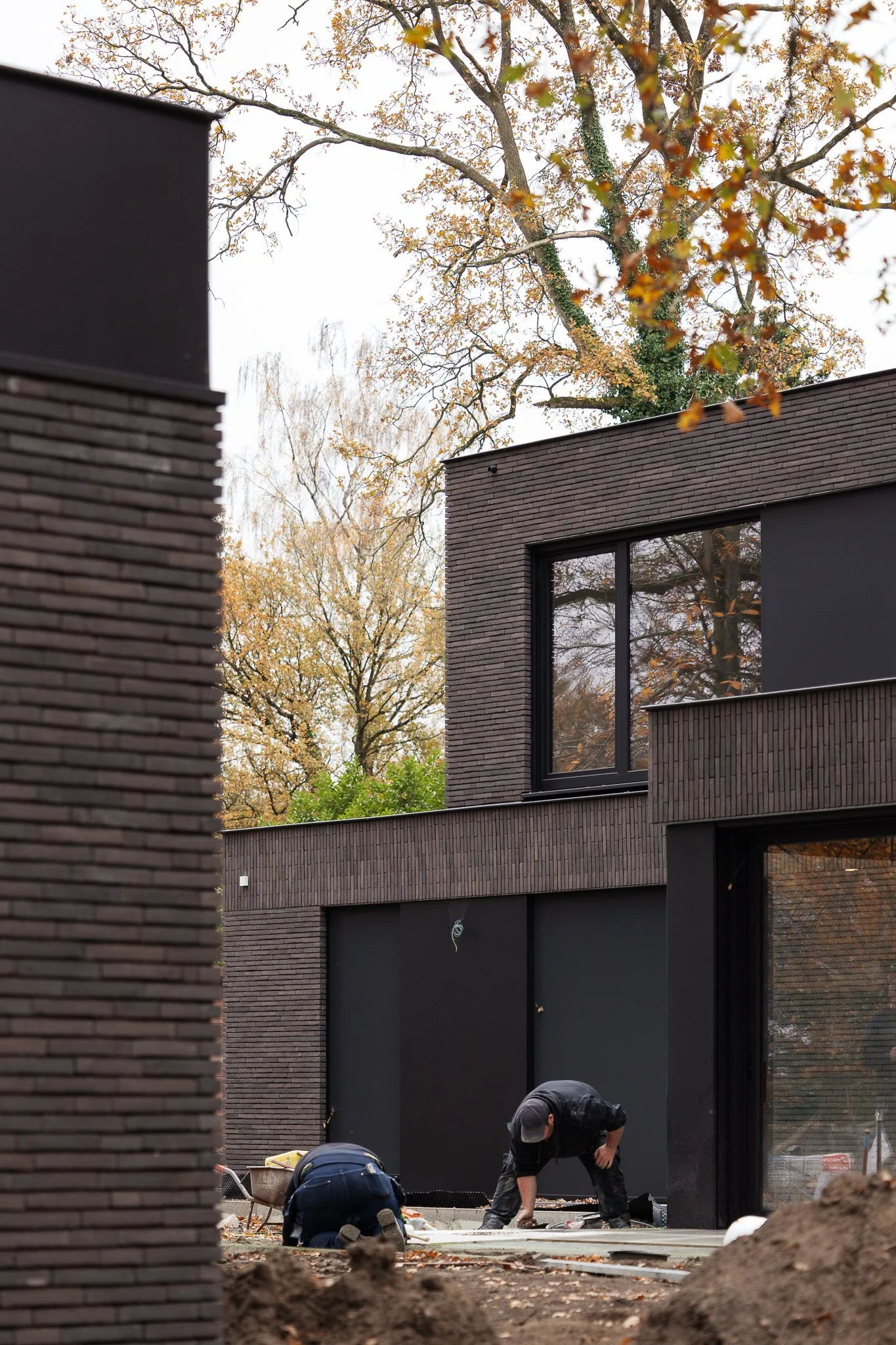 Vandewalle Web (20).jpg